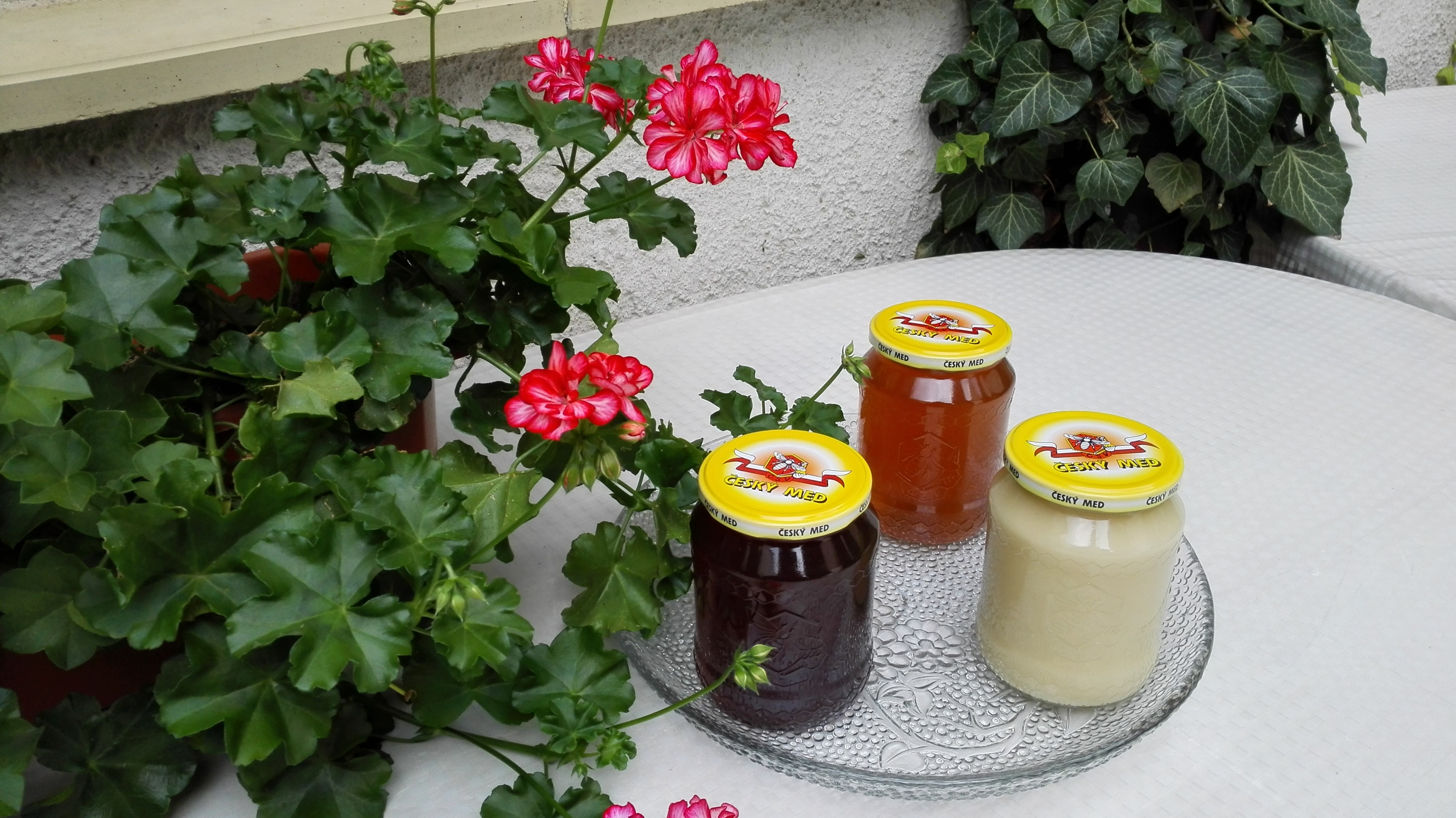 Včelařství Vymazal foto 4