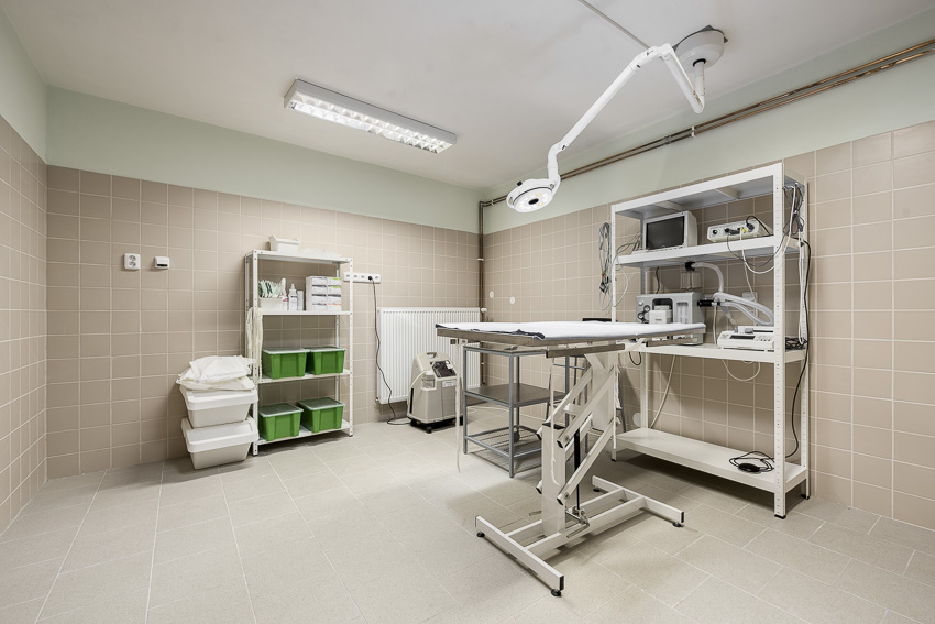 NOEMA veterinární klinika foto 3