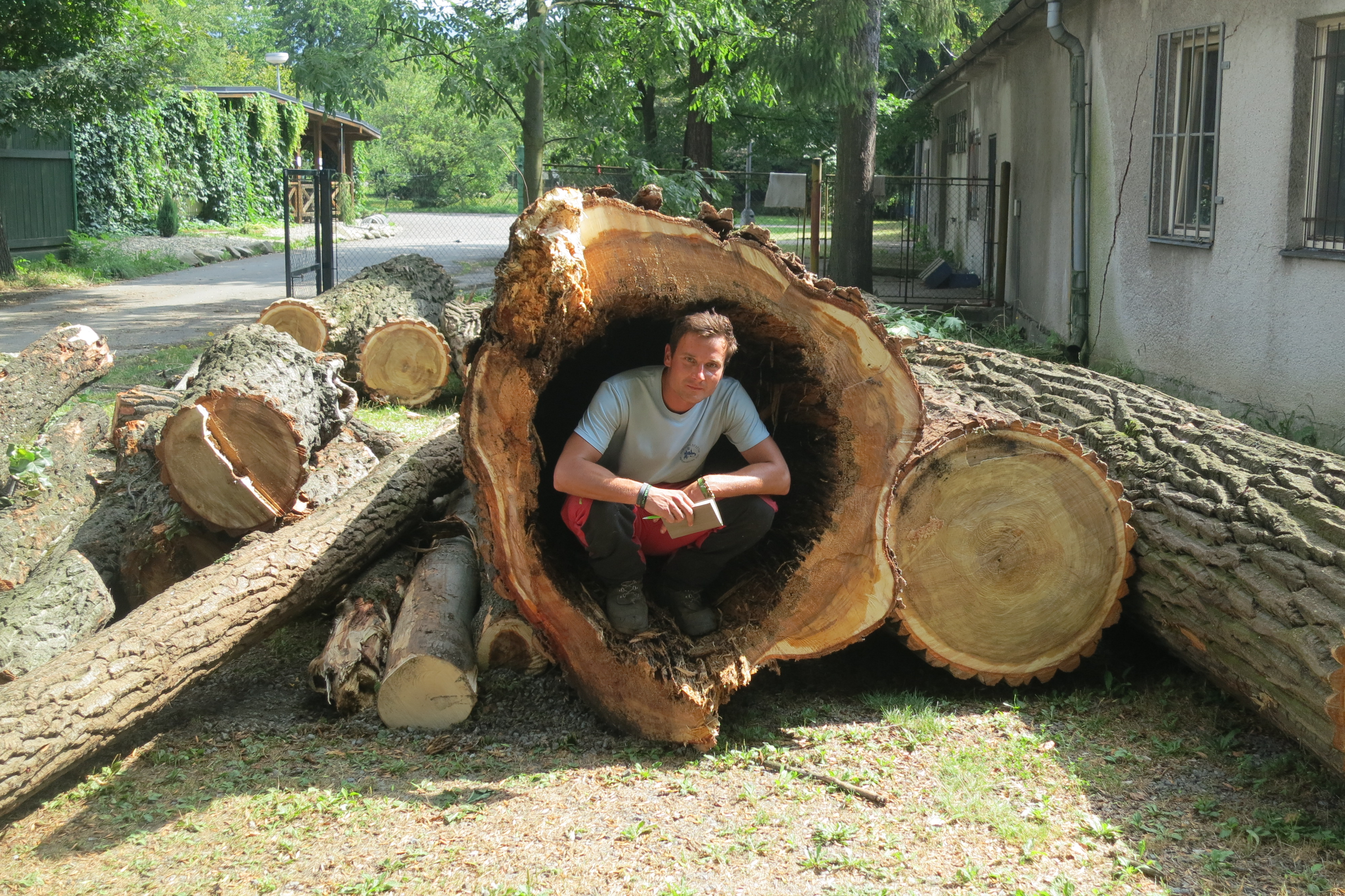 Rizikové kácení Roman Kvarda foto 5
