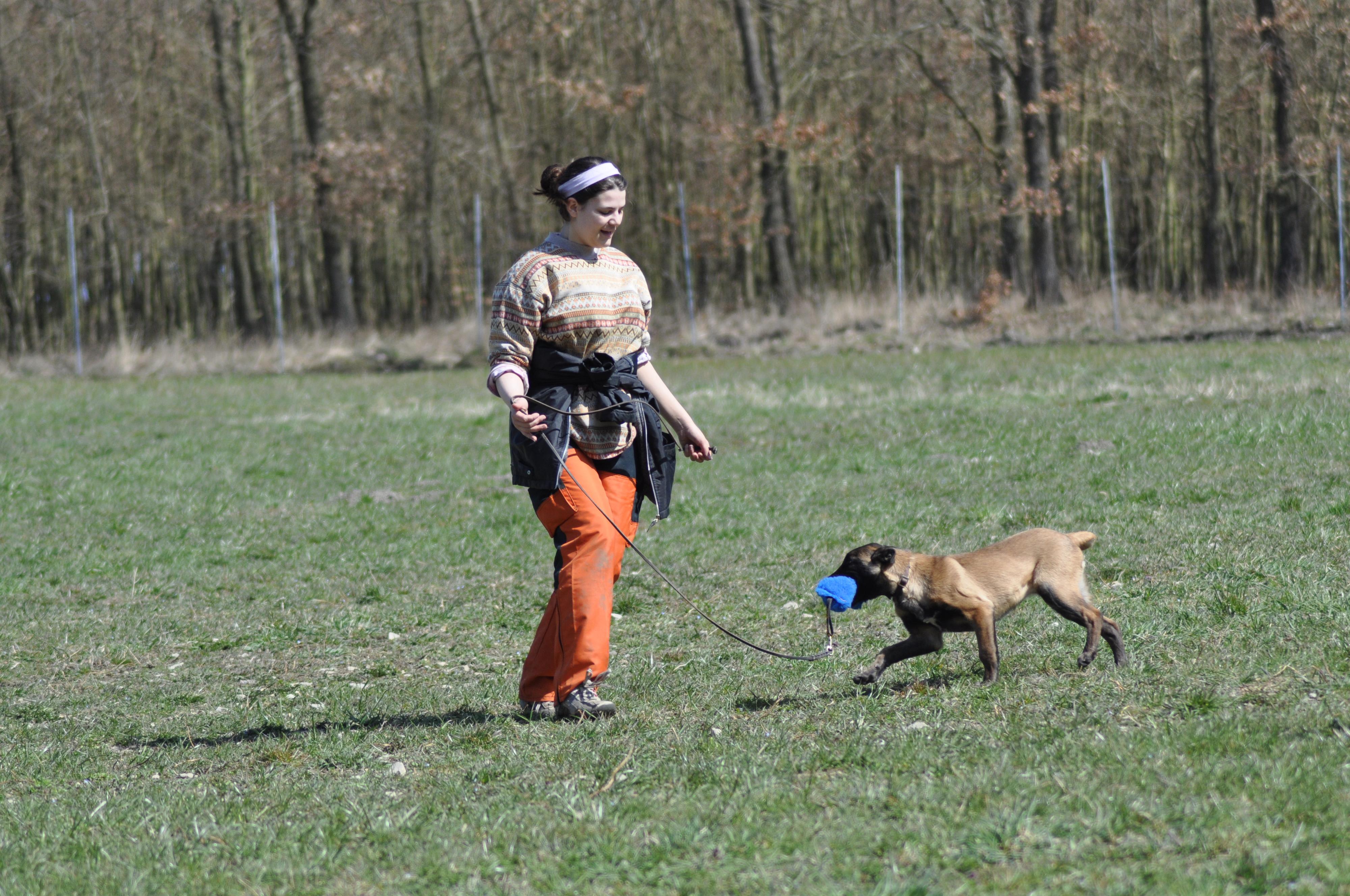 Český kynologický svaz ZKO Lány - 713 foto 3