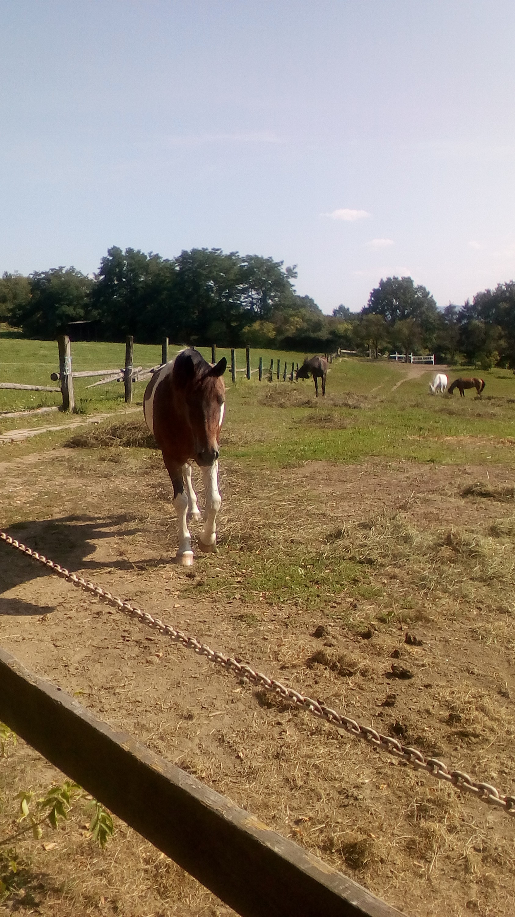 Jízdárna Ranč Moneta foto 4