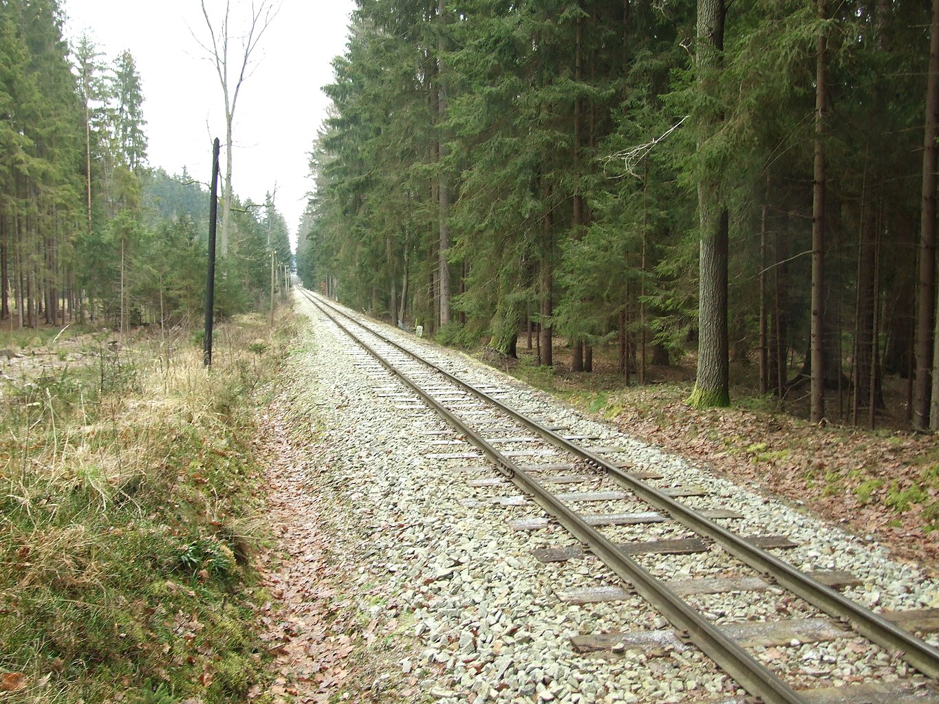 Jindřichohradecké místní dráhy, a.s. foto 5