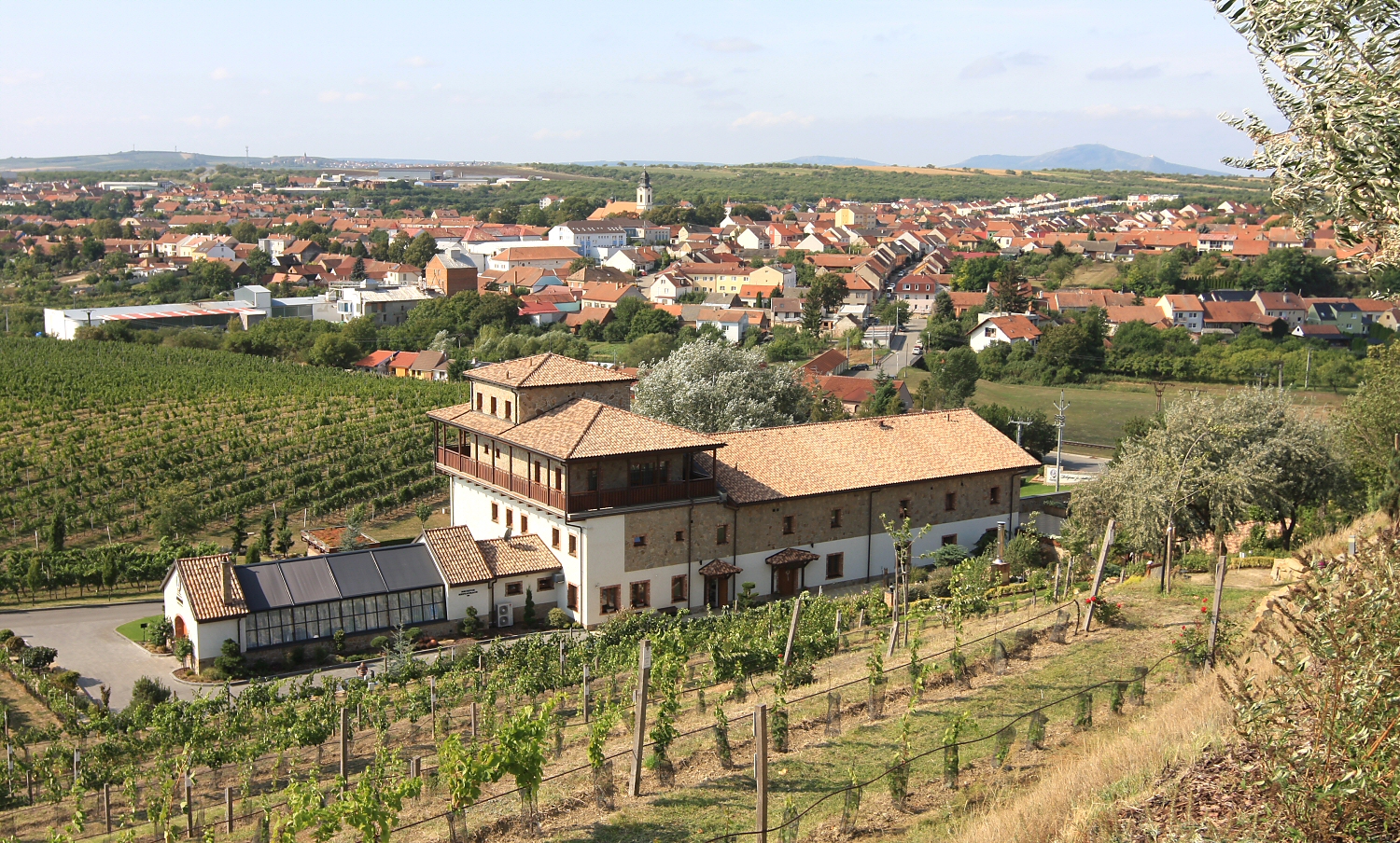 Šlechtitelská stanice vinařská Velké Pavlovice foto 4