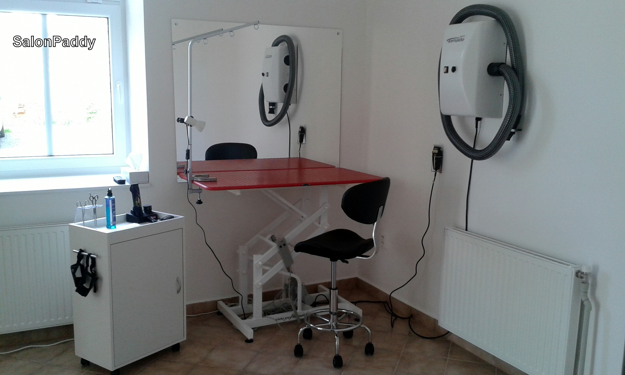 Psí salon Paddy foto 2