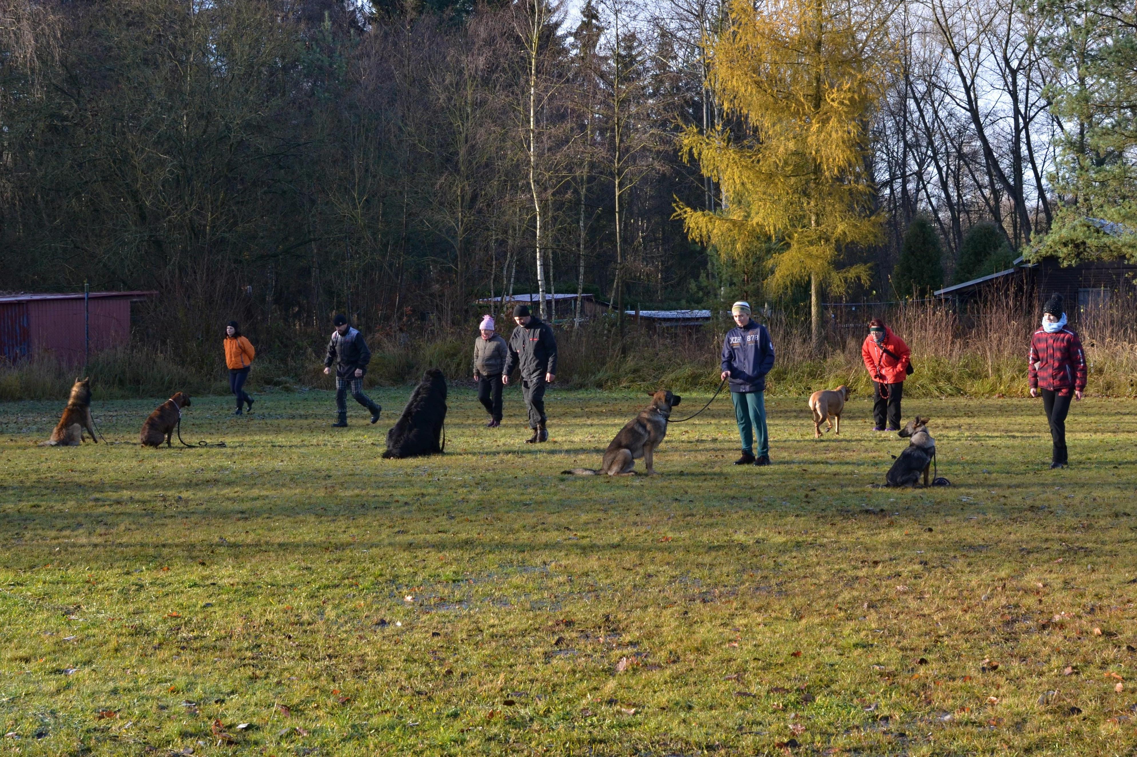 ZKO Stráž pod Ralskem