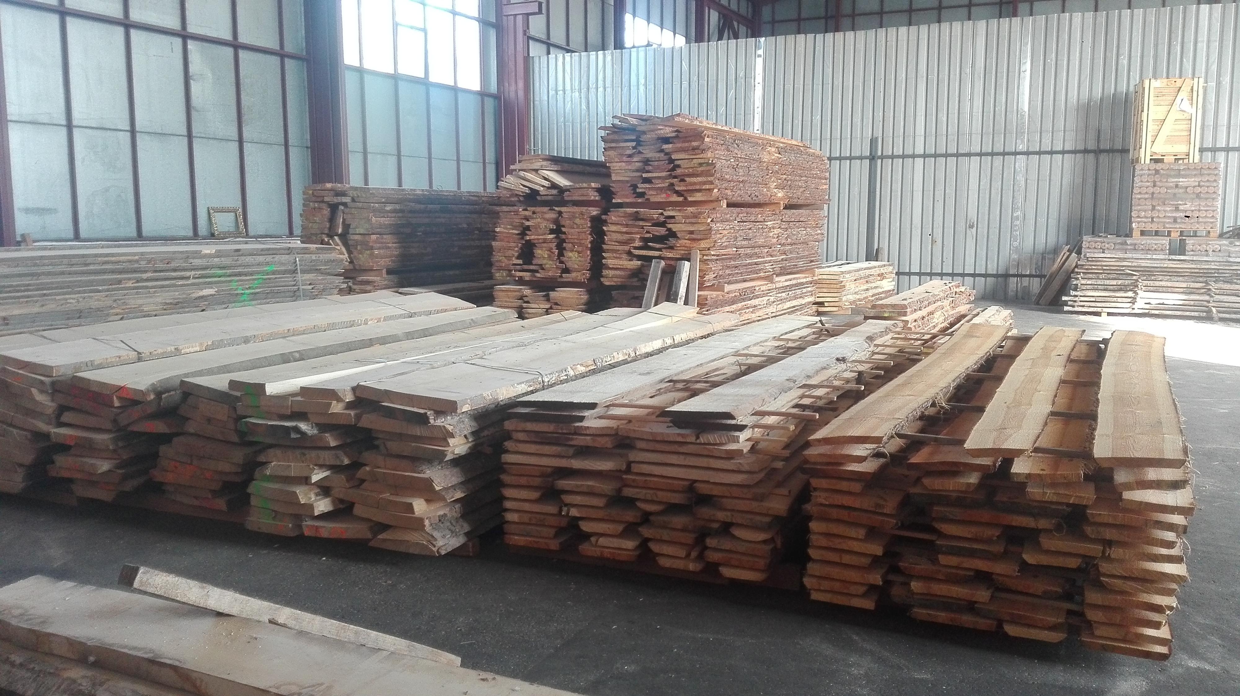 Michal Hladík foto 4