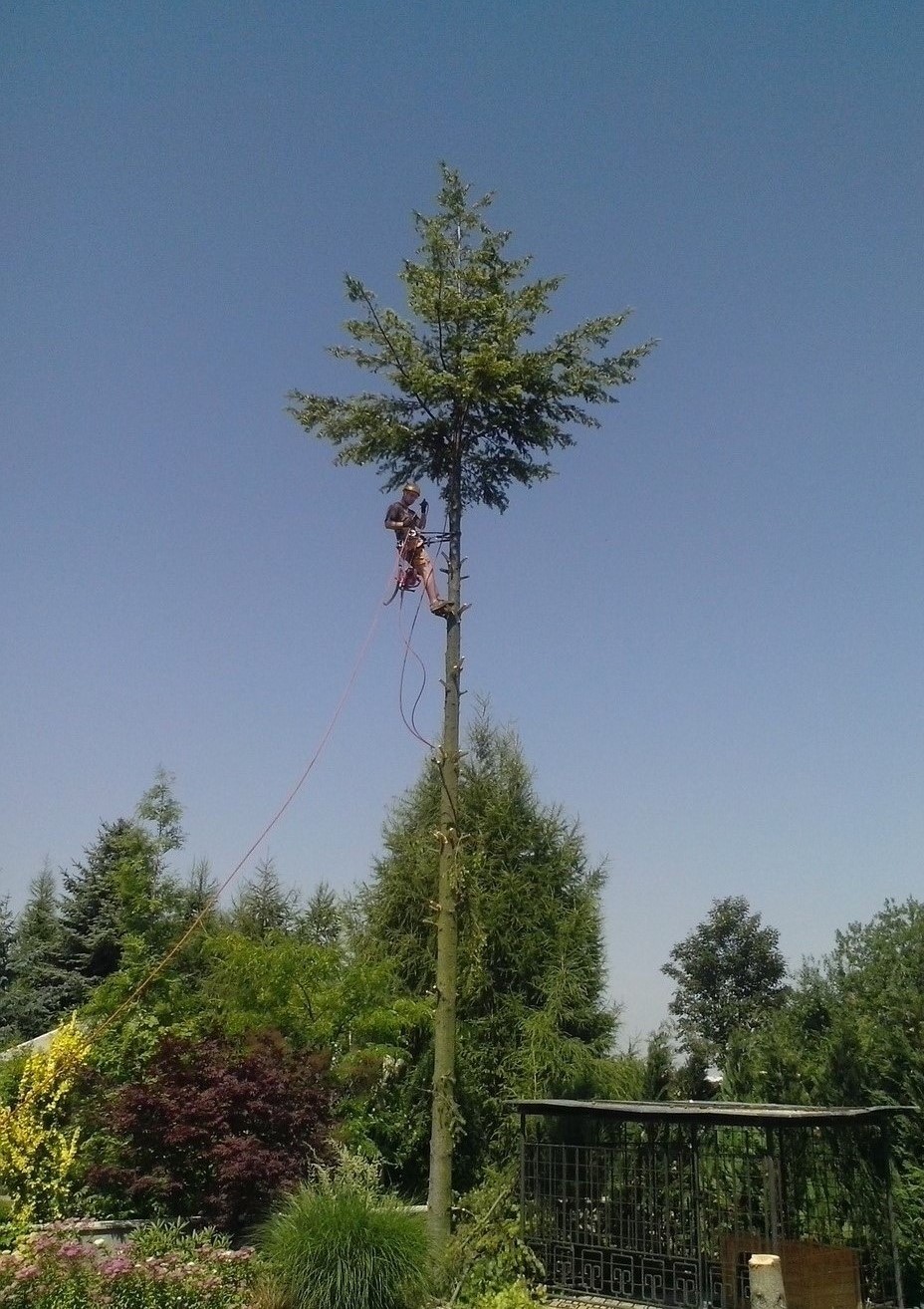 Matej Vrabel' foto 2