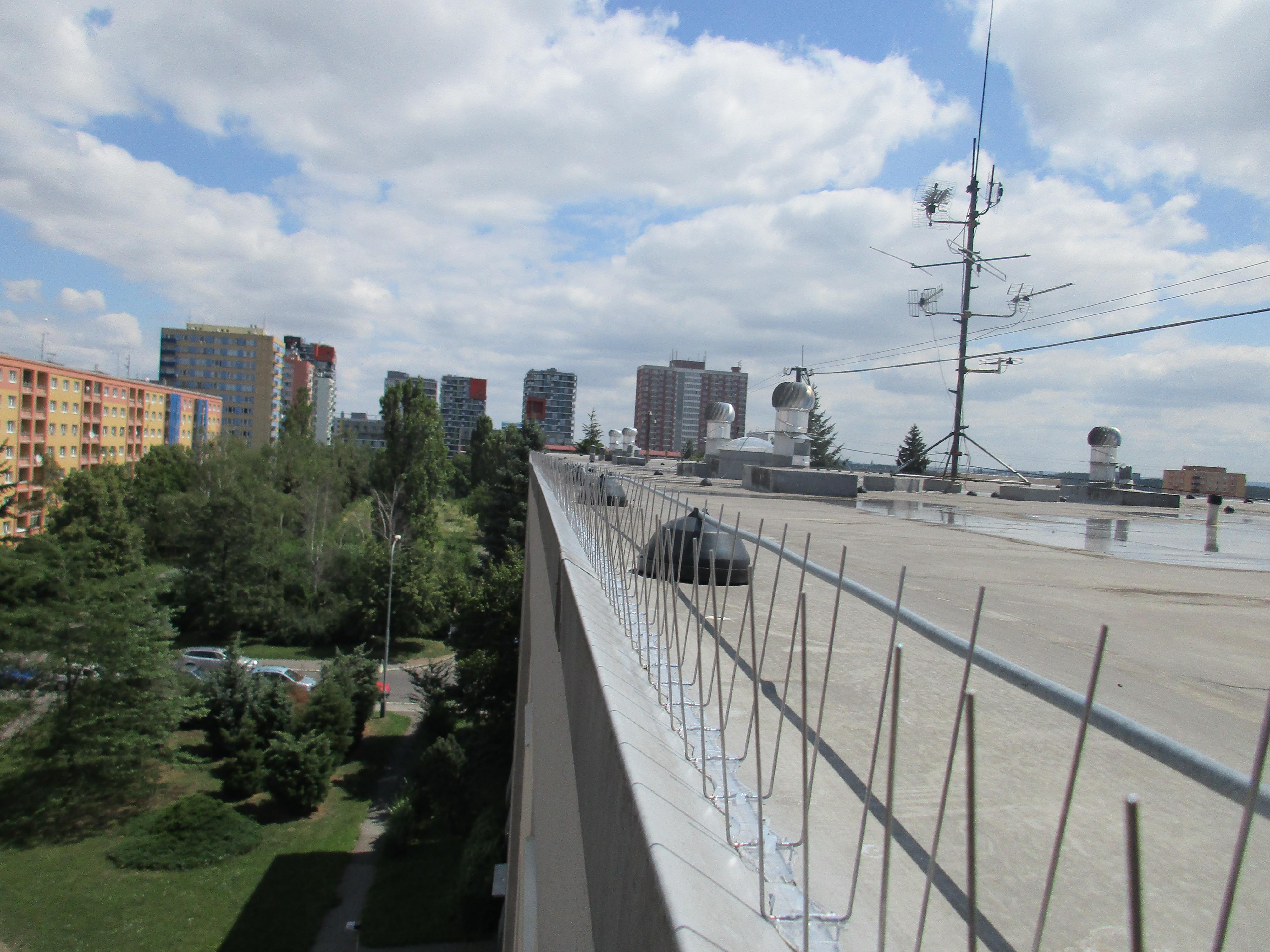 Protiholubum.cz foto 5