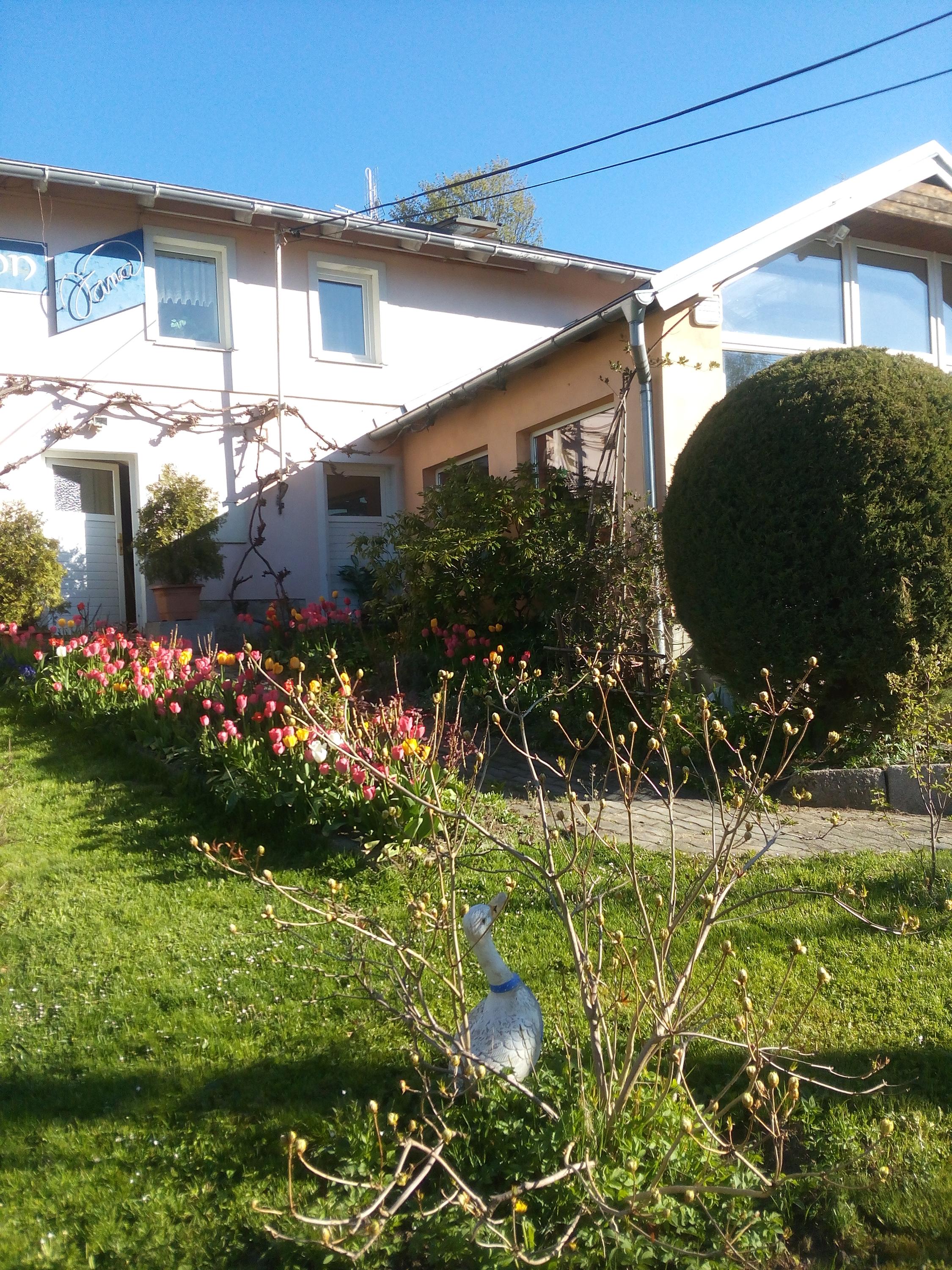 Penzion Jana foto 3