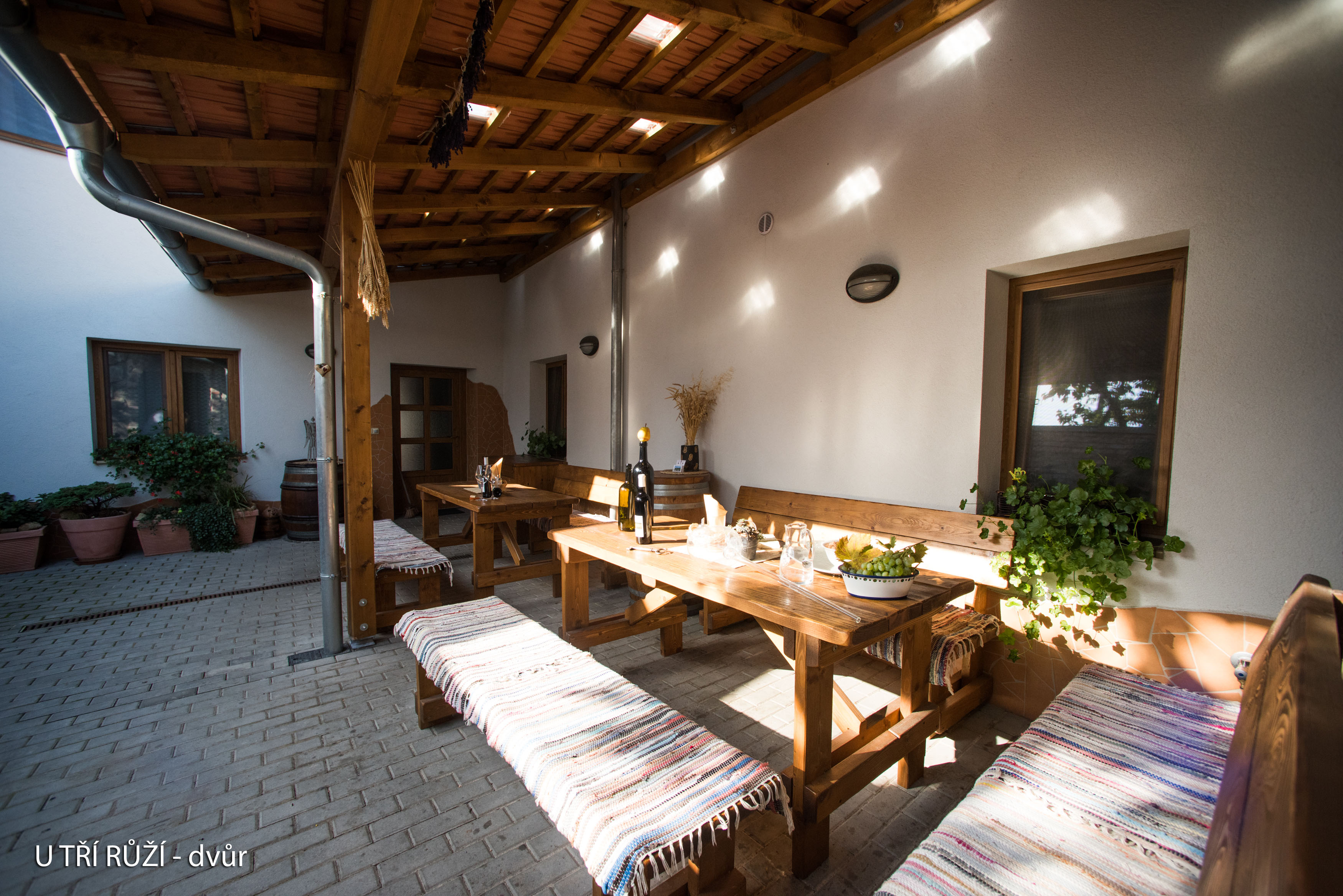 U TŘÍ RŮŽÍ - penzion & vinný sklep foto 3