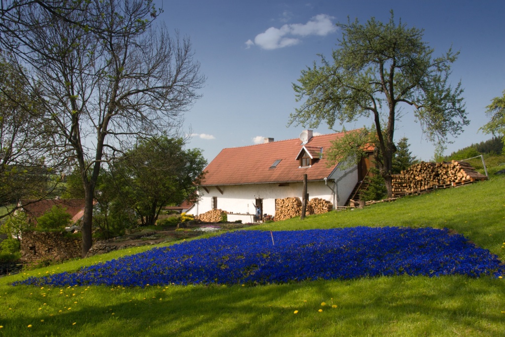 Zahradnictví Zvotoky - Tomáš Reichl foto 3