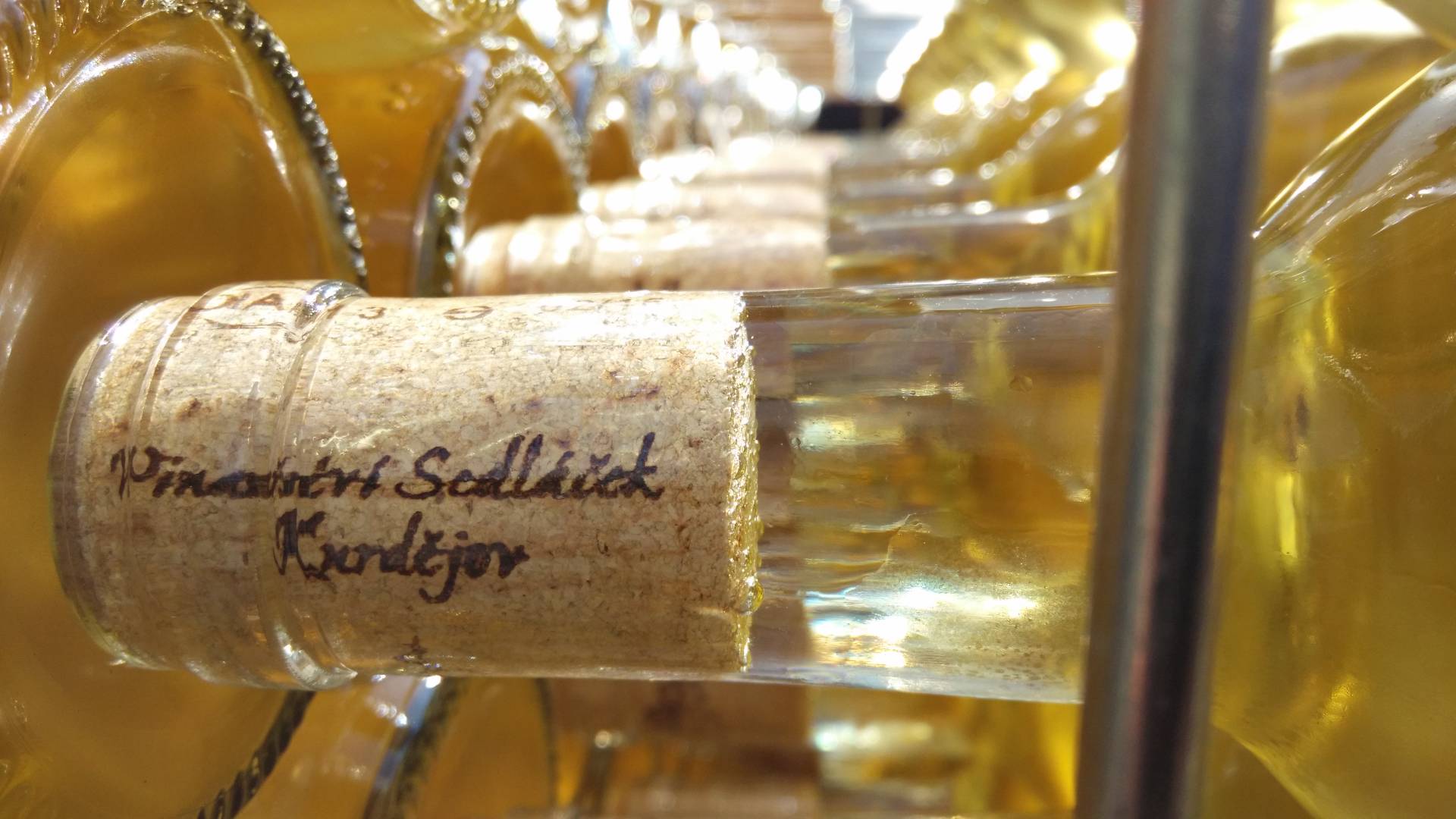 Sedláček vinařství Kurdějov foto 5