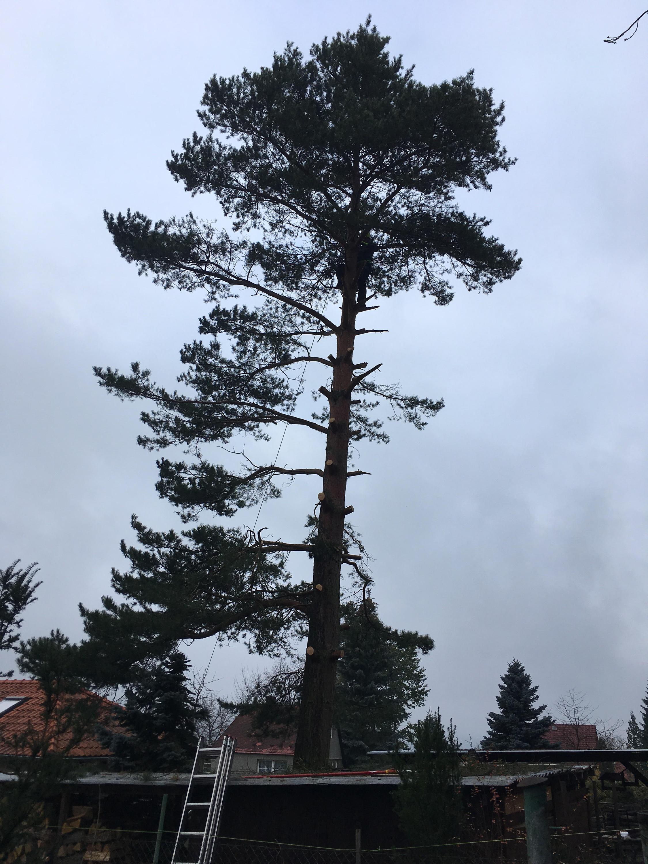 Matej Vrabel' foto 4