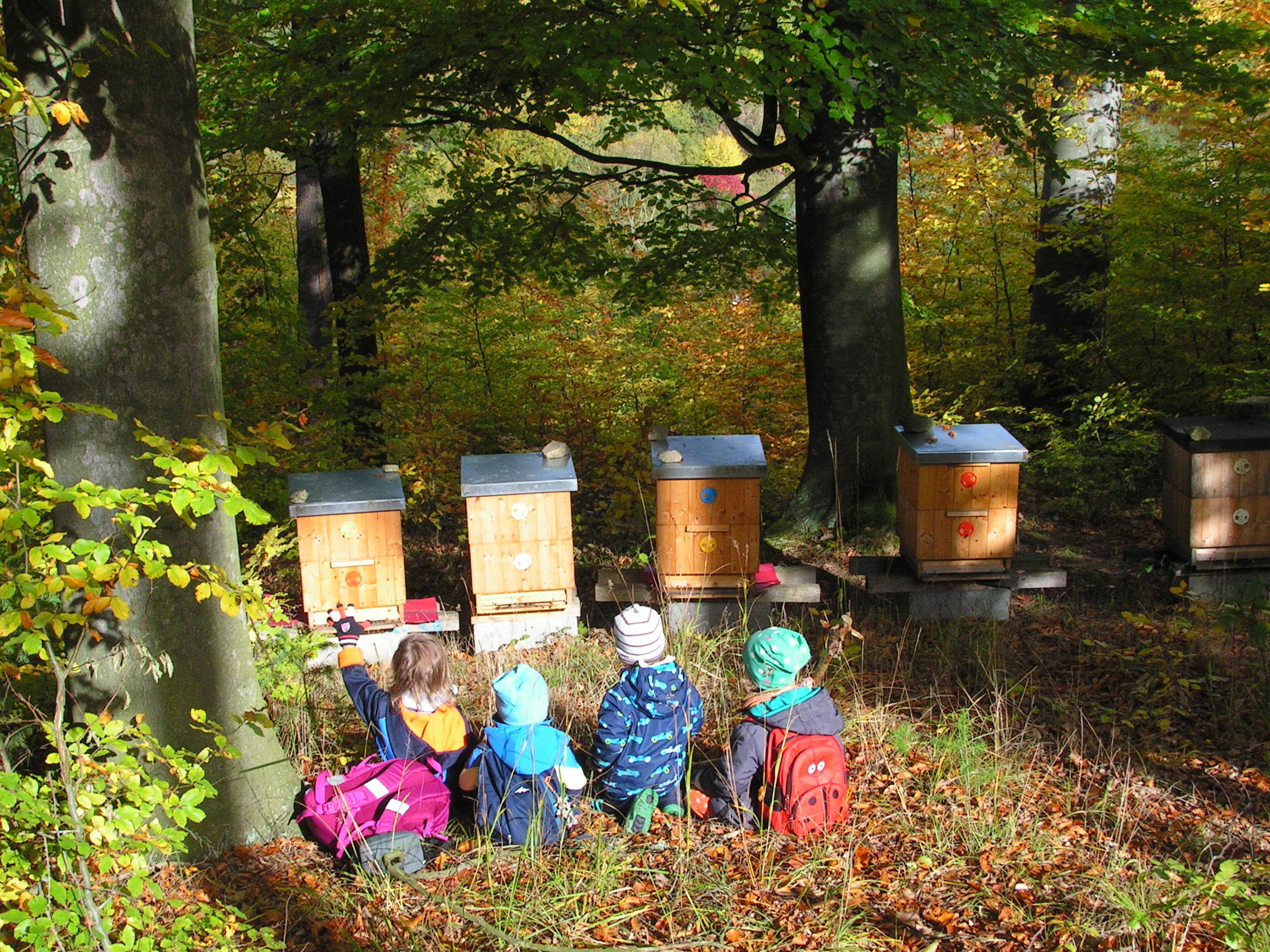 Lesní klub U tří soviček foto 3