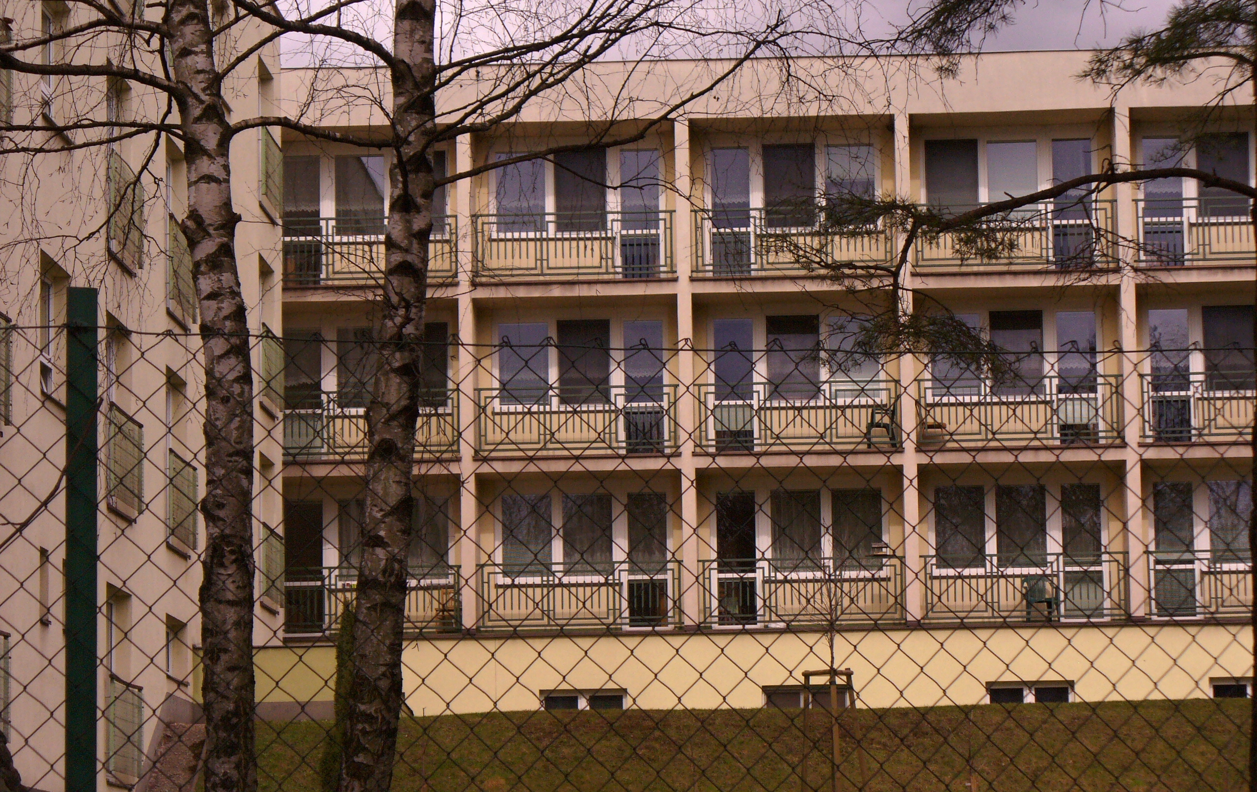 Domov Sosna foto 2