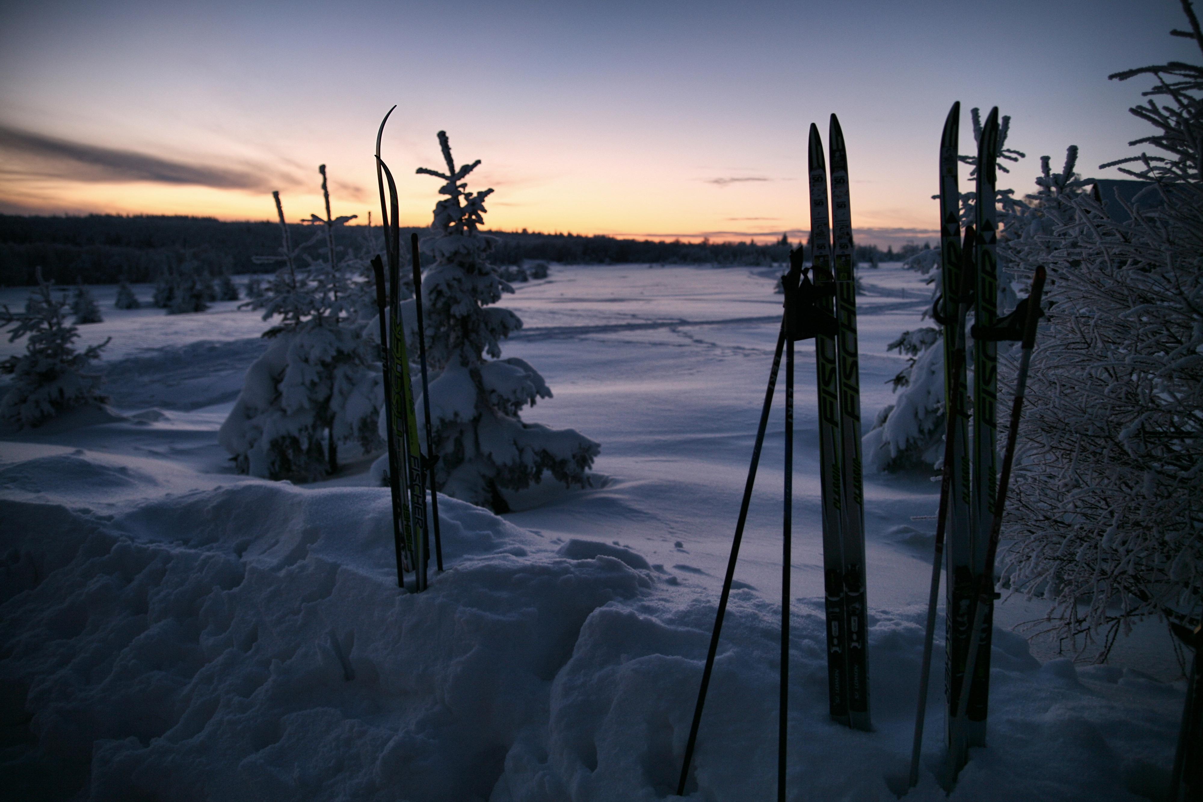 Hotel Krušnohorský Dvůr foto 3