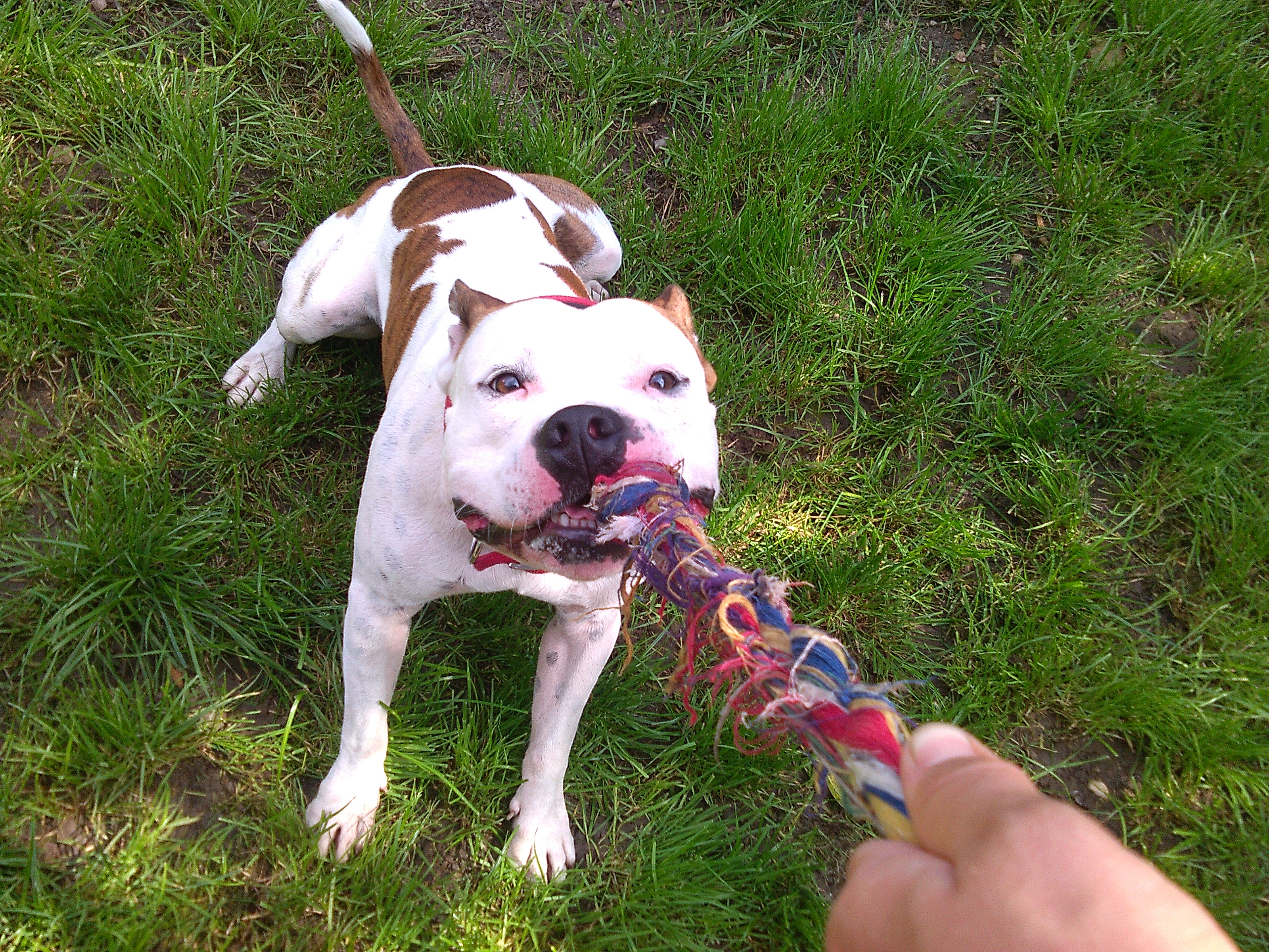 Ing. Magdalena Šetlíková foto 4