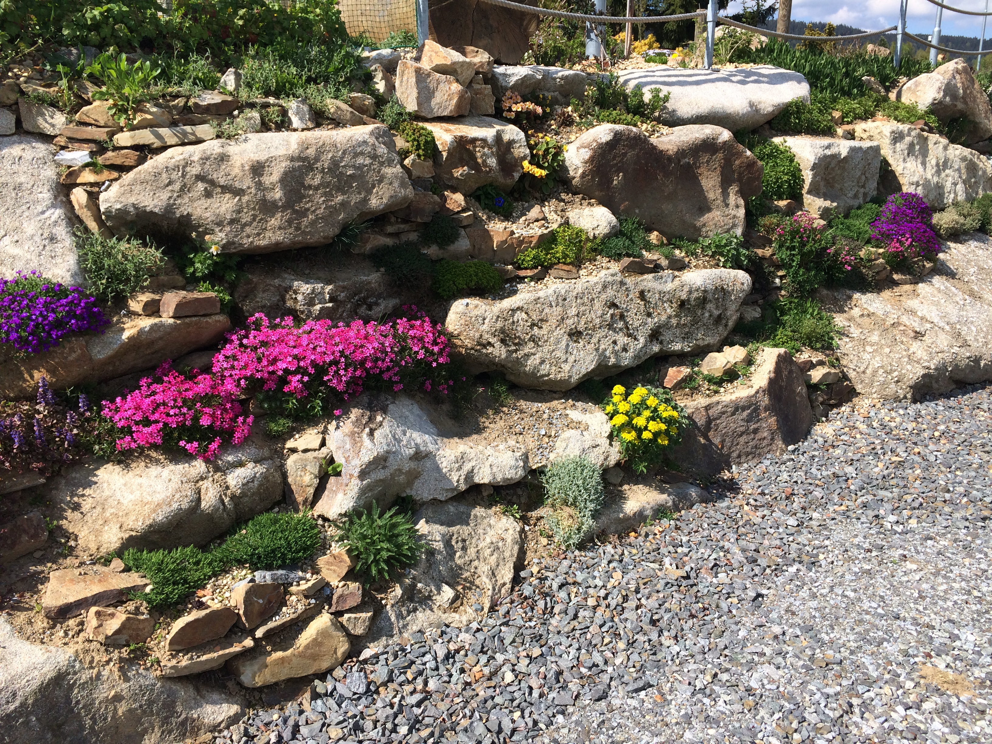 Avelana CZ, s.r.o. foto 3