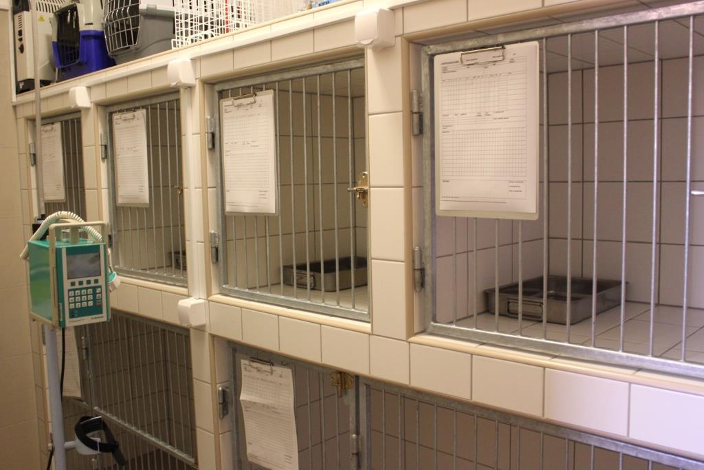 Vethope s.r.o. - veterinární klinika foto 5