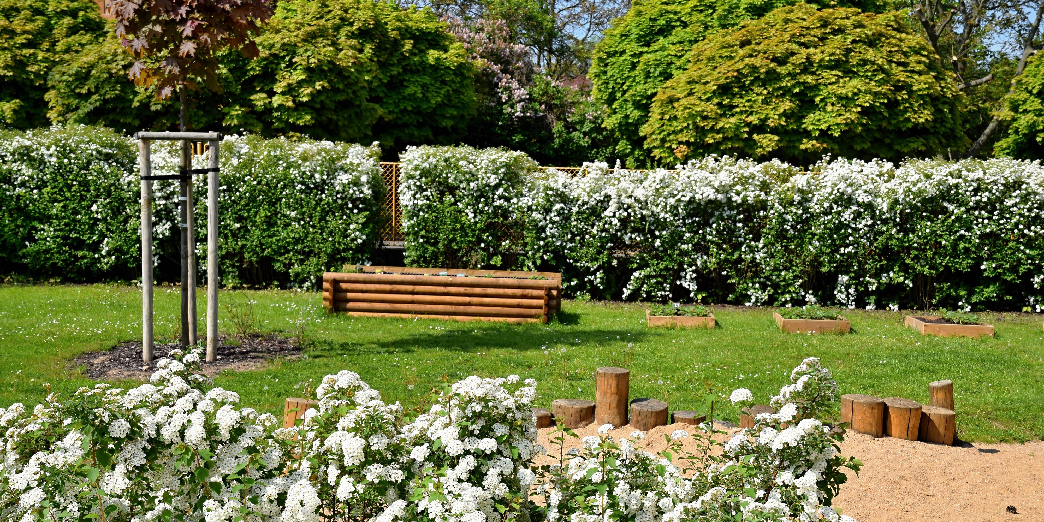 Mateřská škola Kytička Pardubice foto 4