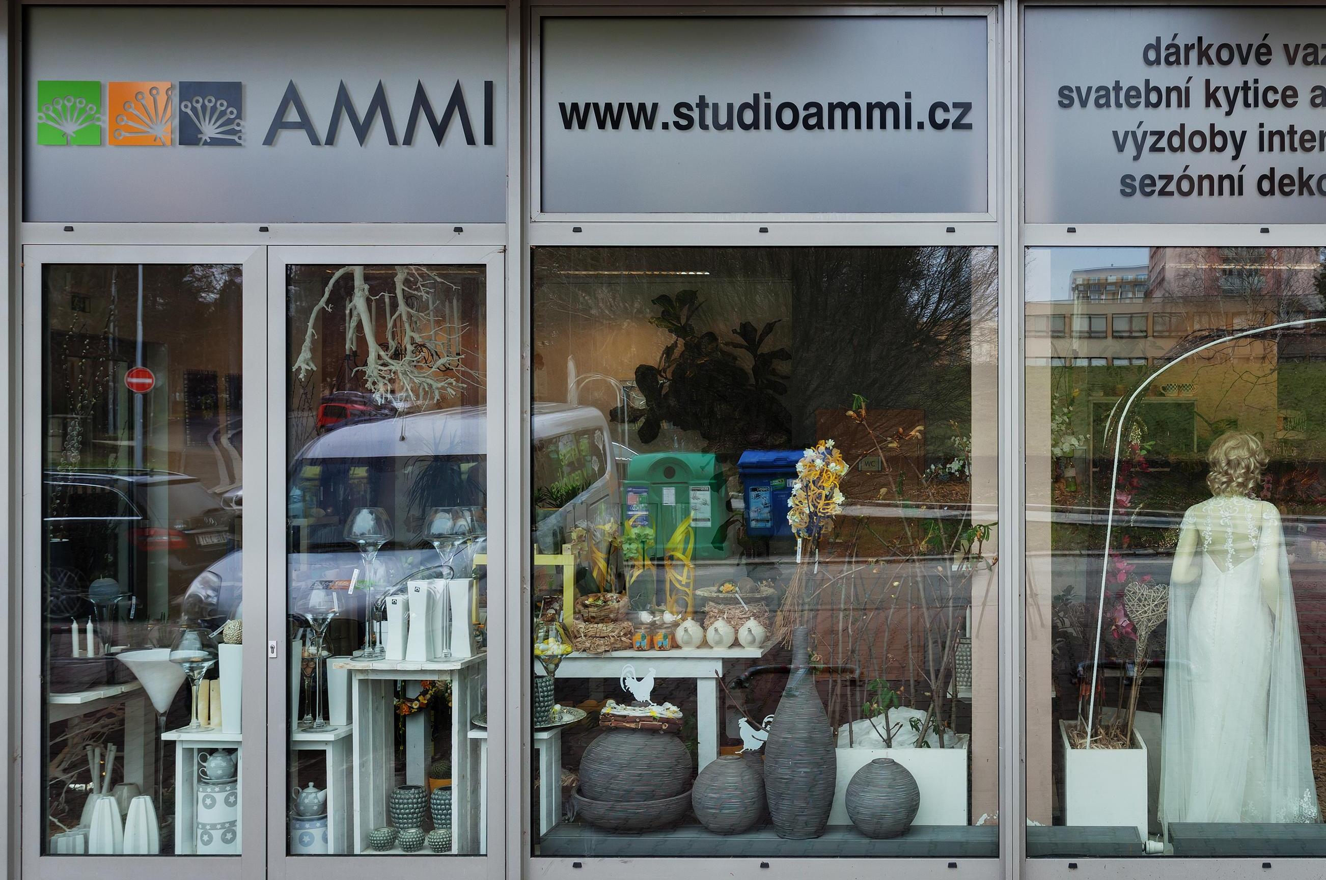 Studio AMMI