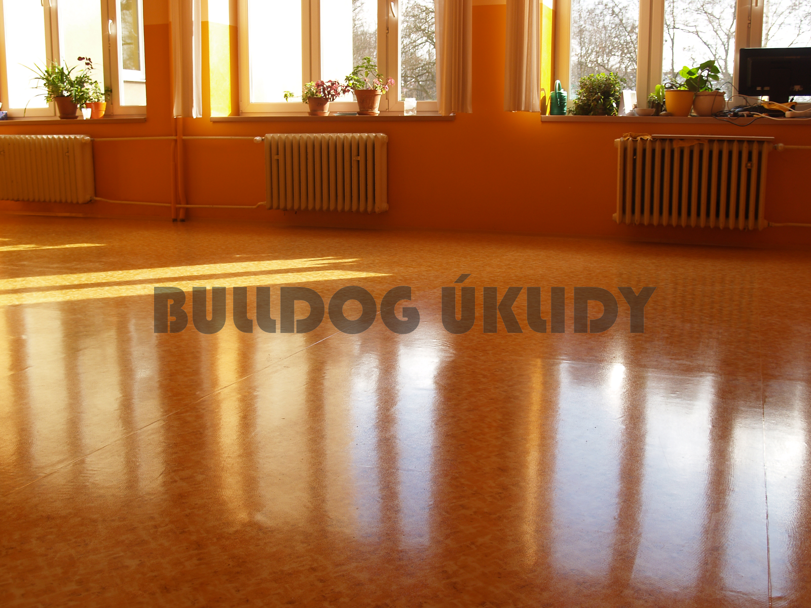 Bulldog úklidy, s.r.o. foto 2