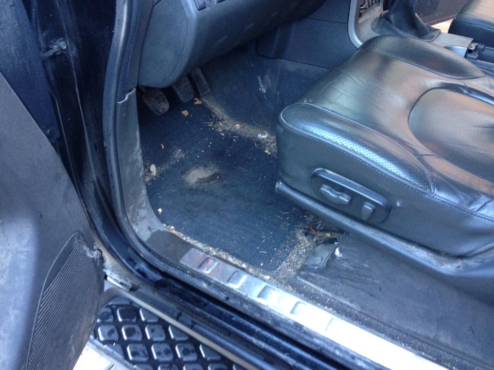 Čištění vozidel Tereza Cypriánová foto 2