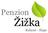 logo Radka Žižková