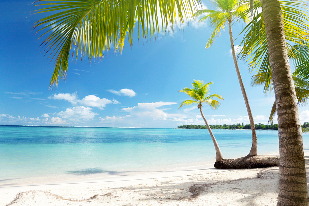 TravelPortal.cz foto 3