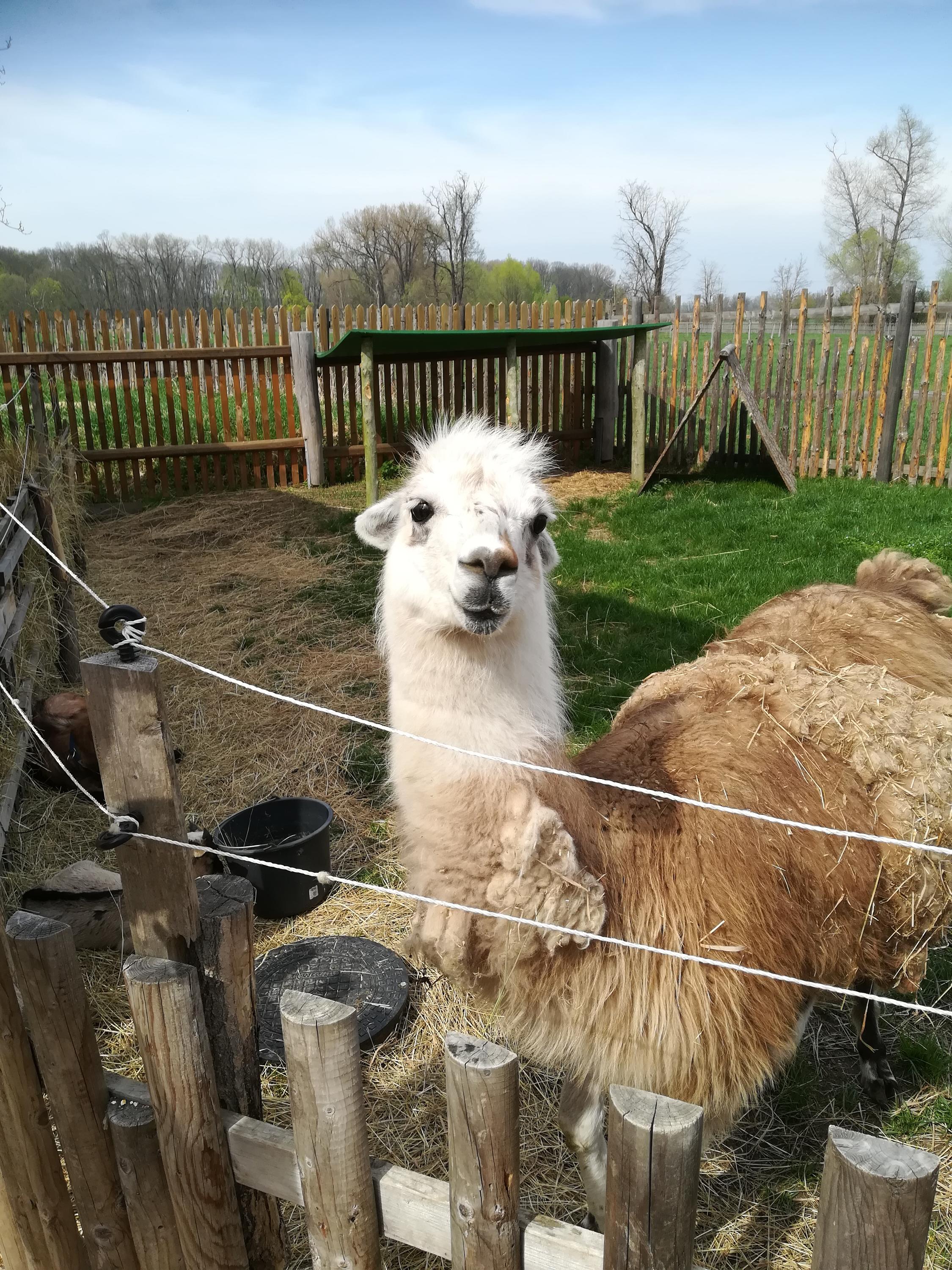 Příroda dětem, z. s. - Galerie "Na Konci světa" foto 6