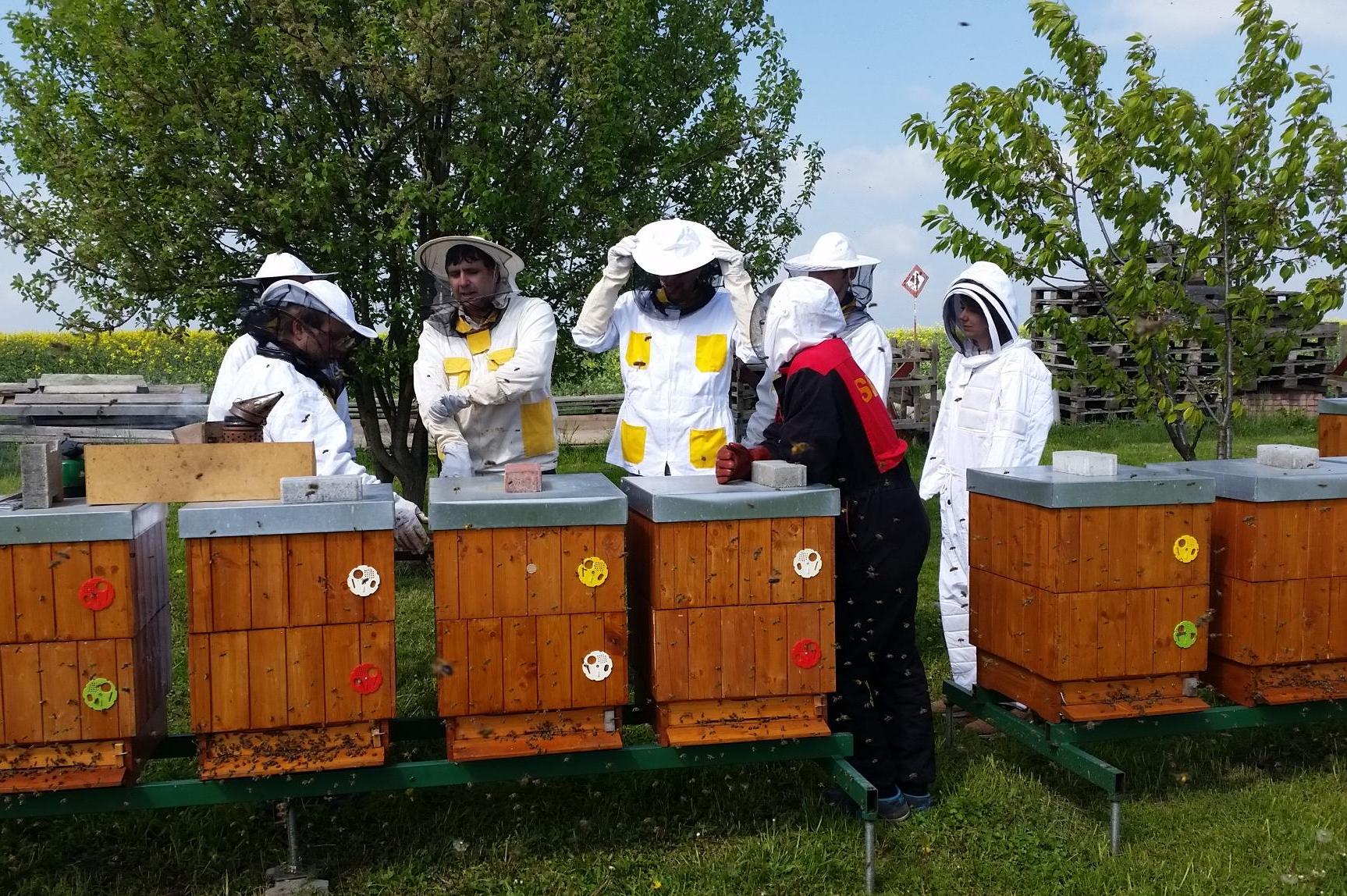 Rodinné včelařství Najman Stanislav