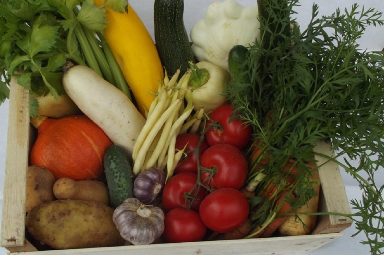 Biozelenina-bedynky.cz