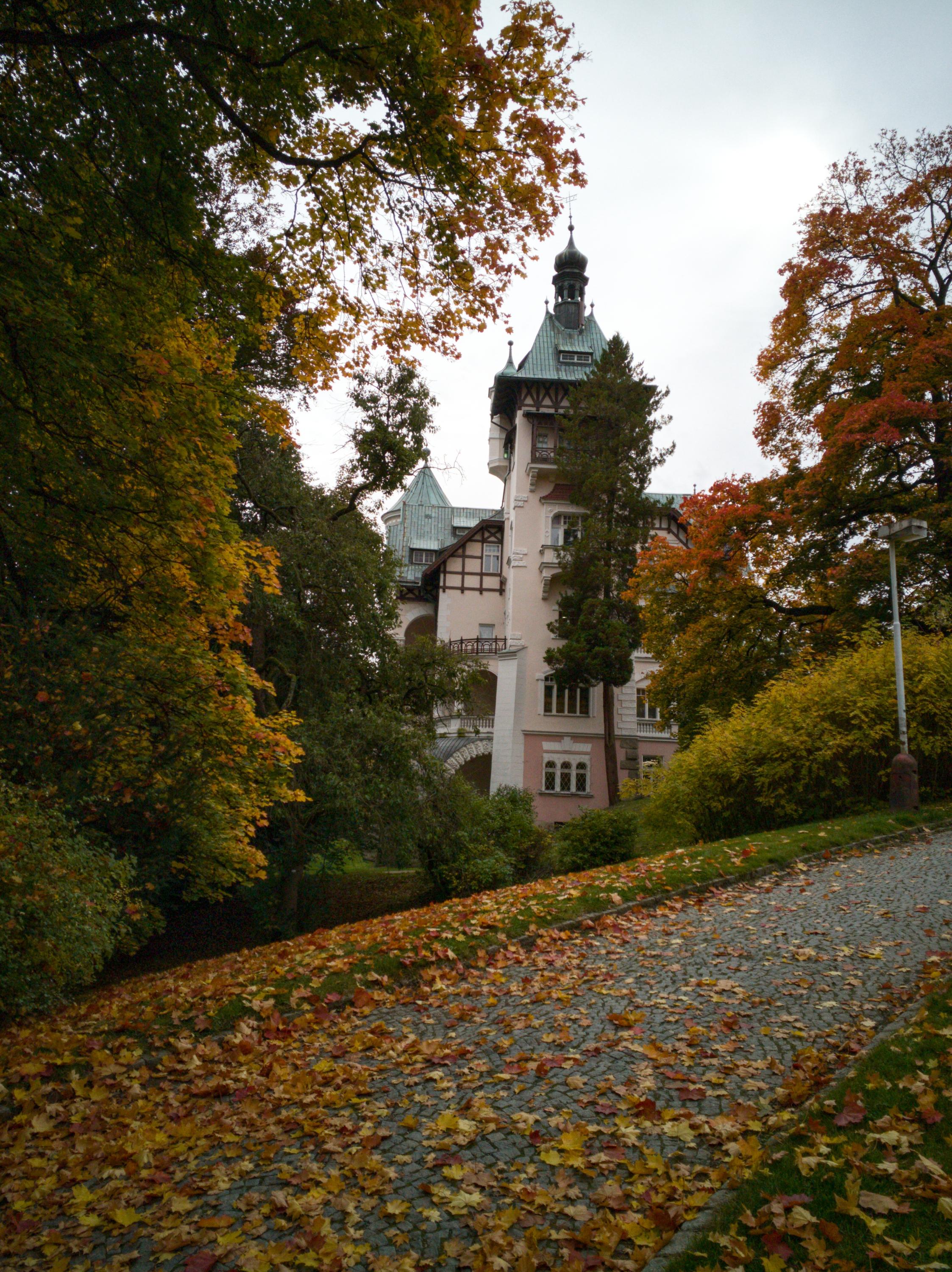 Městská knihovna Mariánské Lázně foto 5