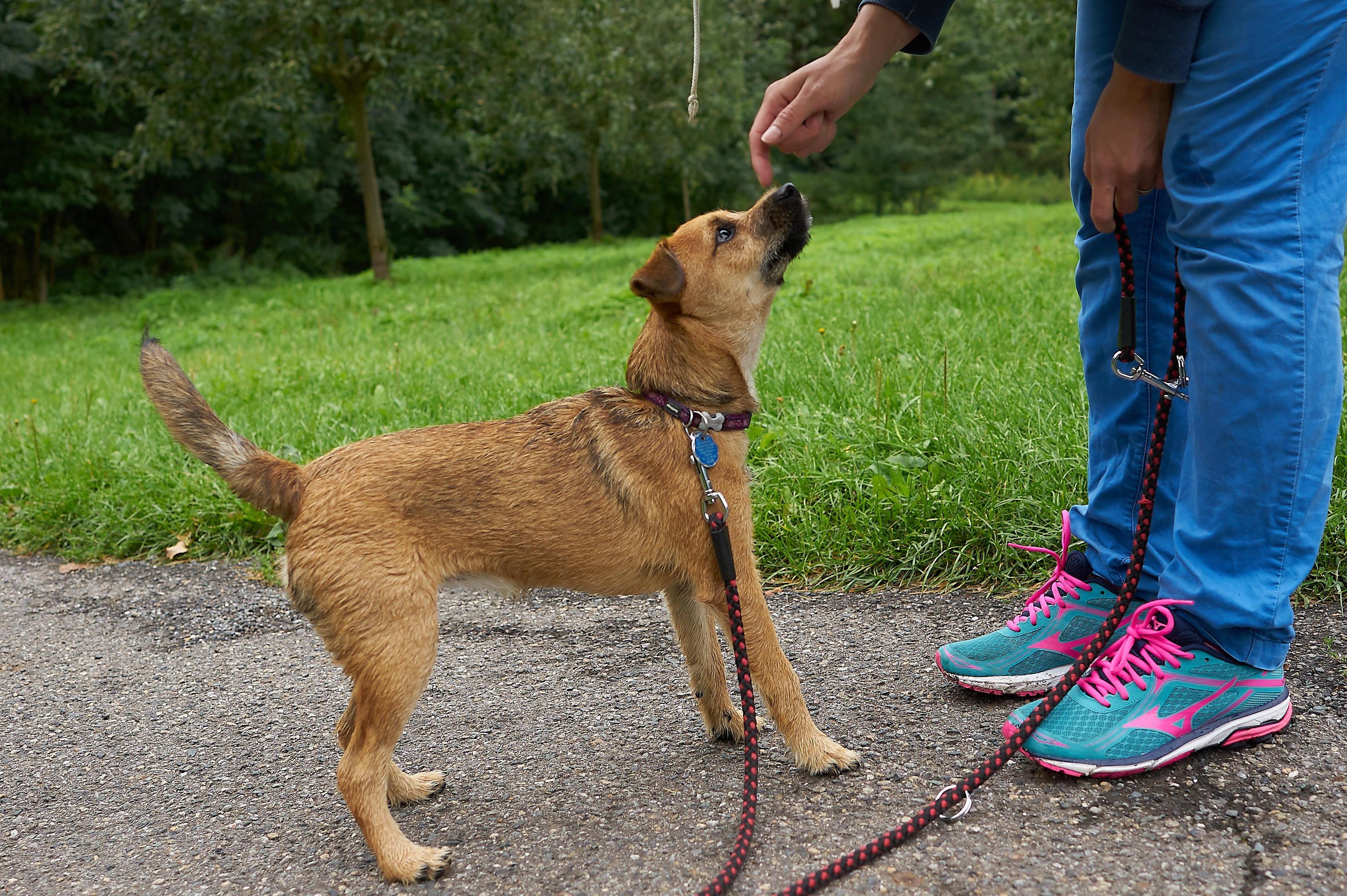 Ing. Magdalena Šetlíková