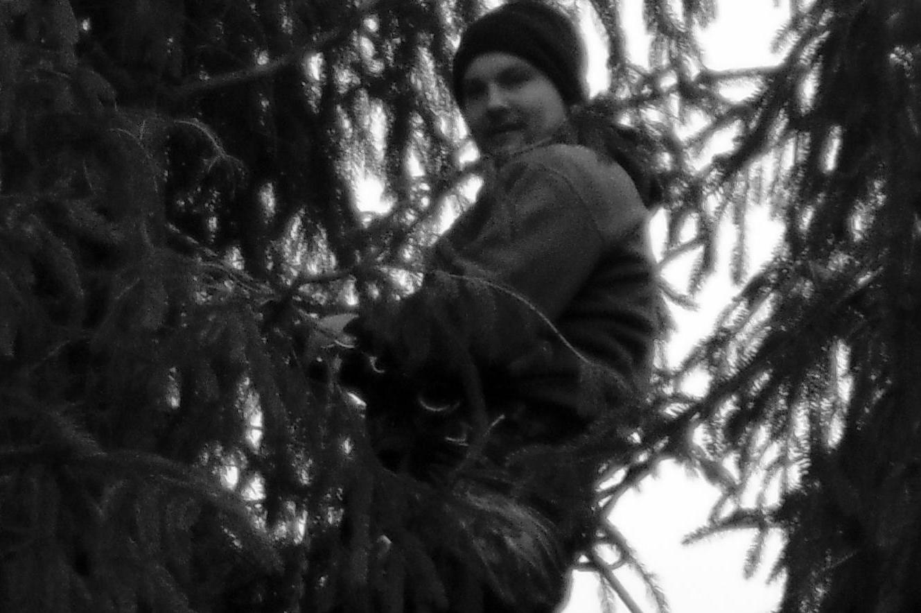 Rizikové kácení a údržba zahrad Michal Bauer