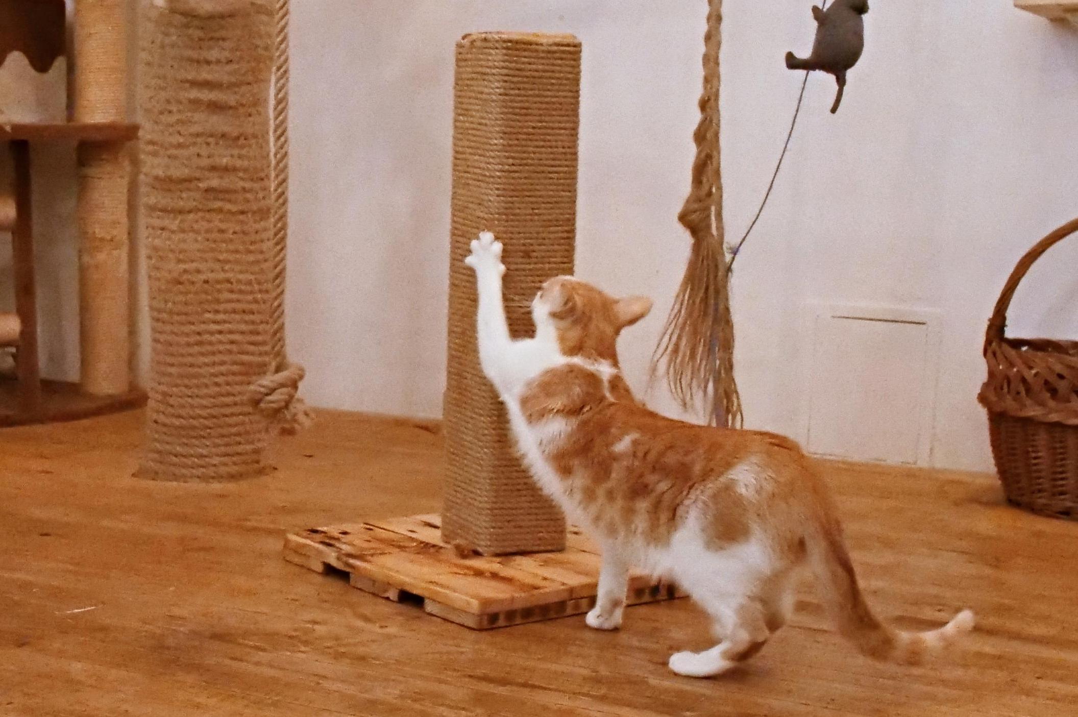 Václav Fego - zakázková výroba