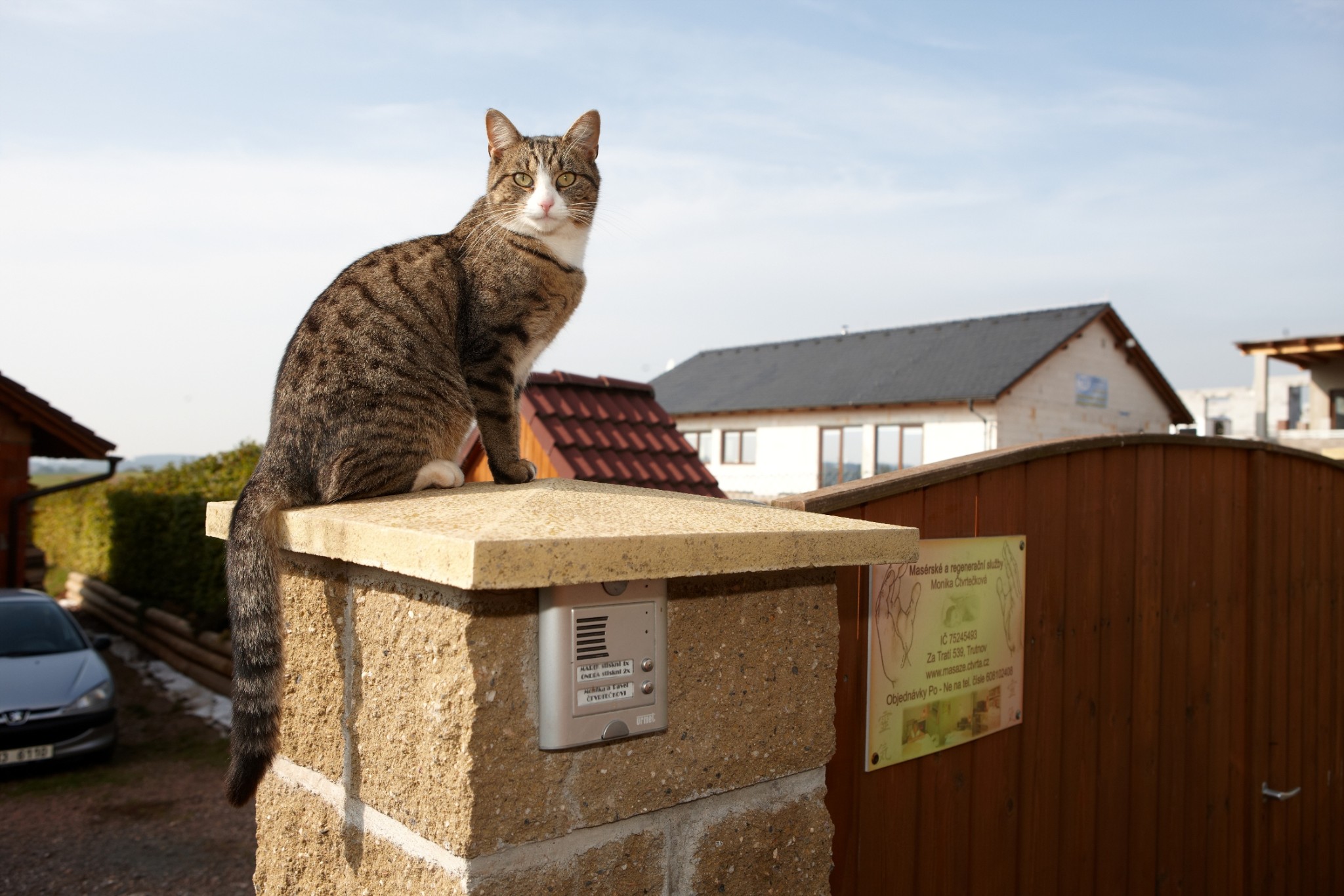 Masáže Monika Čtvrtečková foto 2