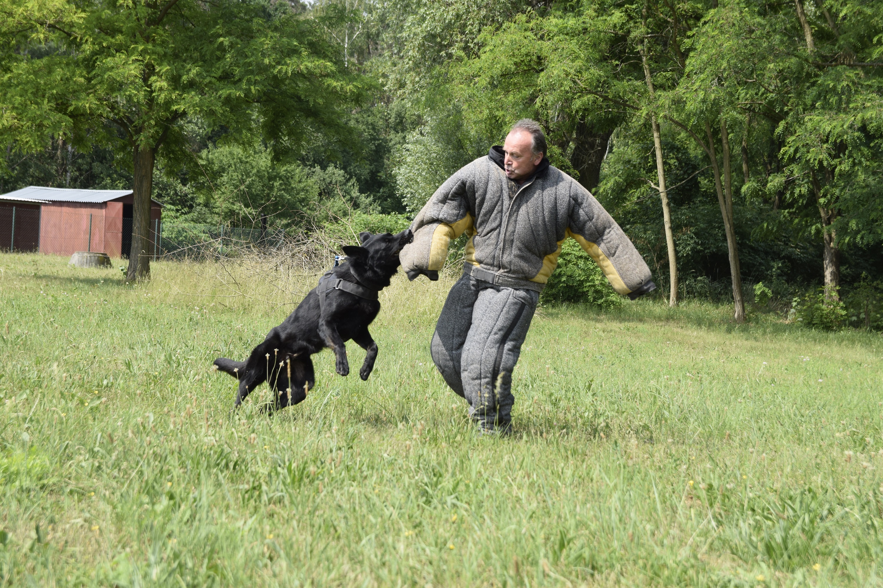 Bezpečnostní služby a systémy WAKENHAT foto 4