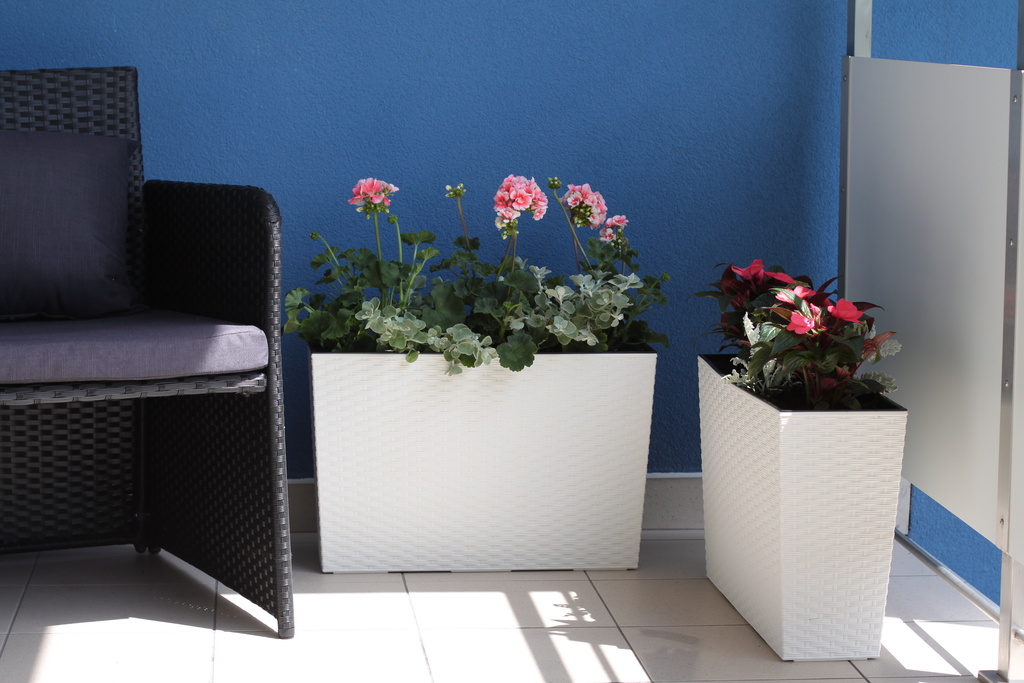 Kvetinace-levne.cz foto 2