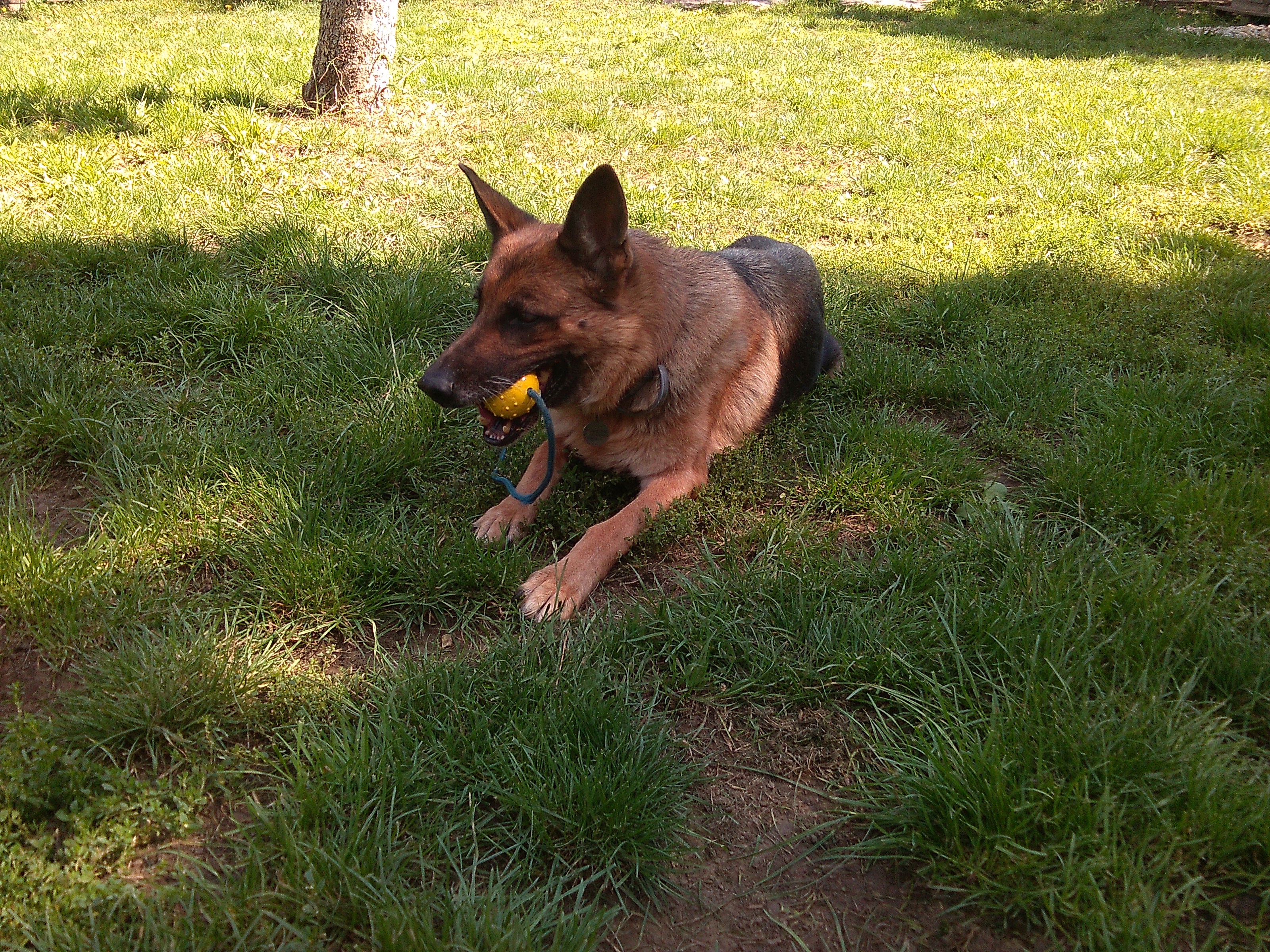 Ing. Magdalena Šetlíková foto 2