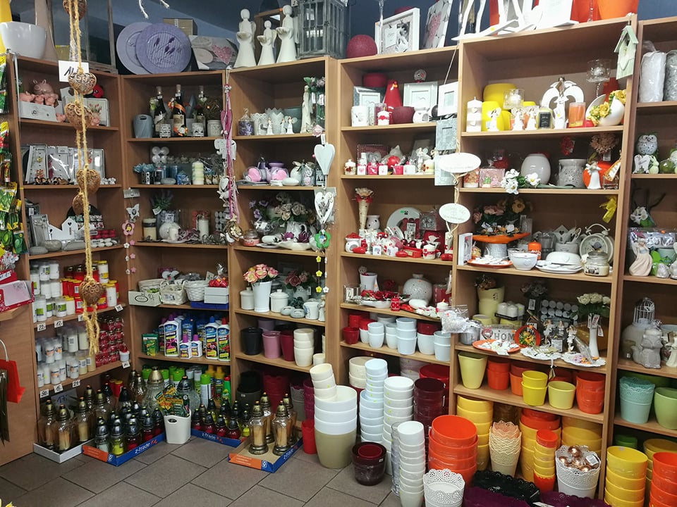 Milan Rohovský foto 3