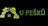 logo Pavel Pešek