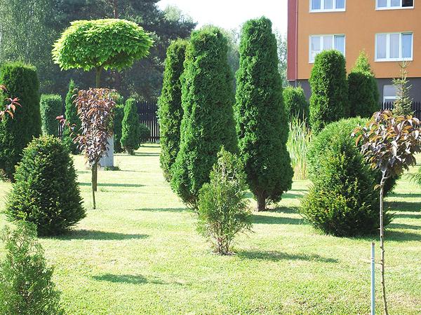 Penzion Lucie foto 2