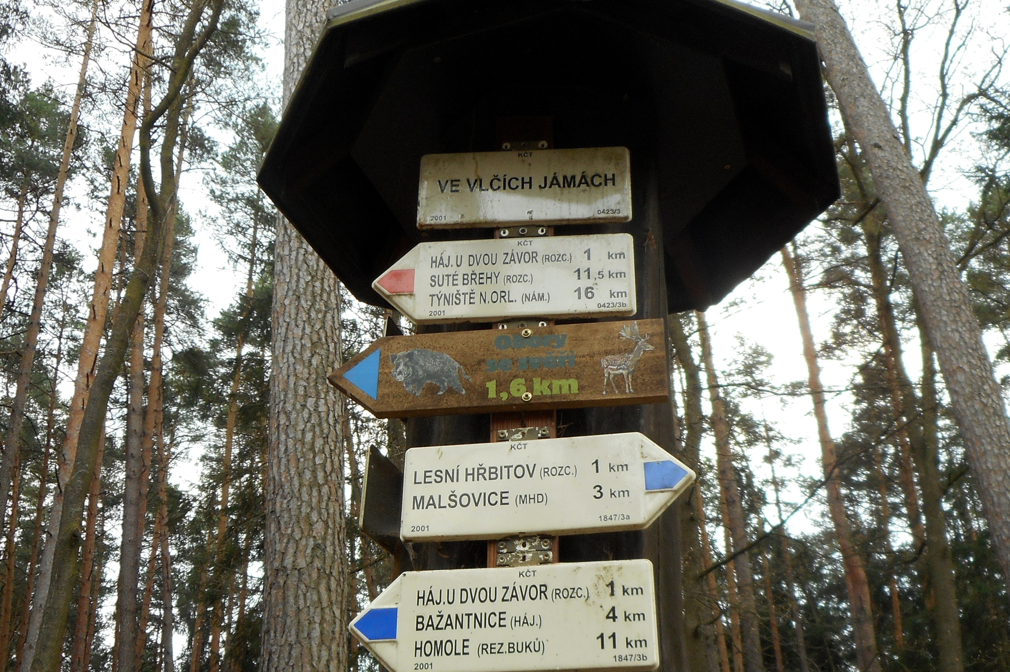 Bufet u vlka foto 3