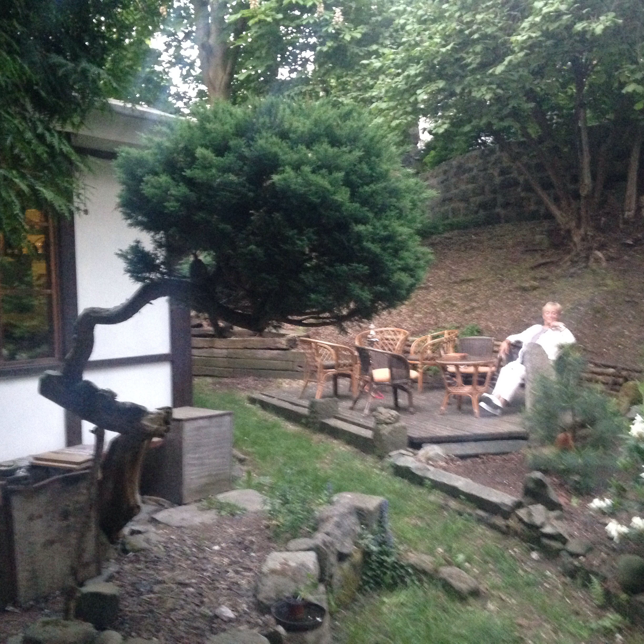 Čajový obchod a Tao čajovna foto 5