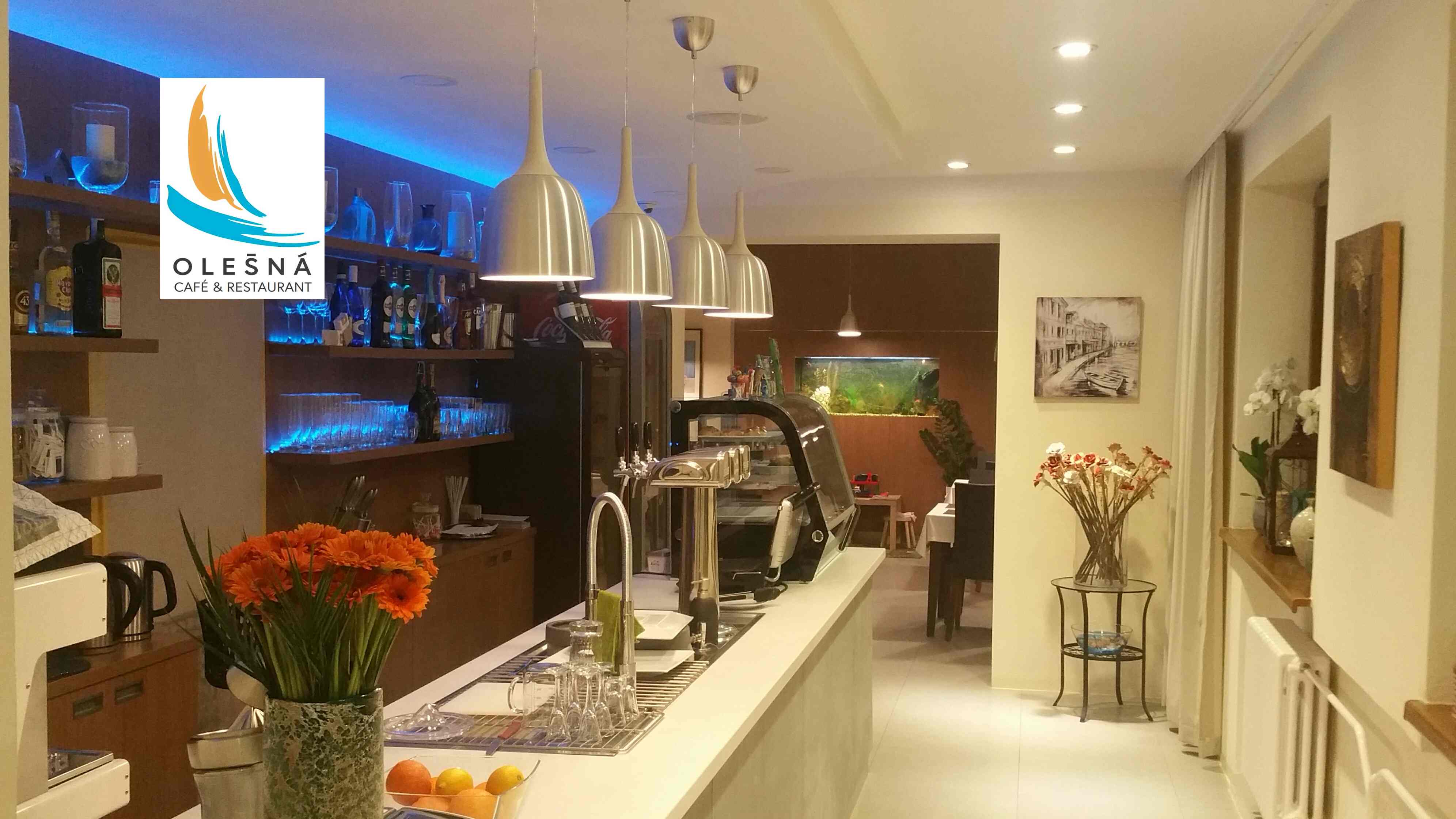 FAMILY PARK OLEŠNÁ foto 2