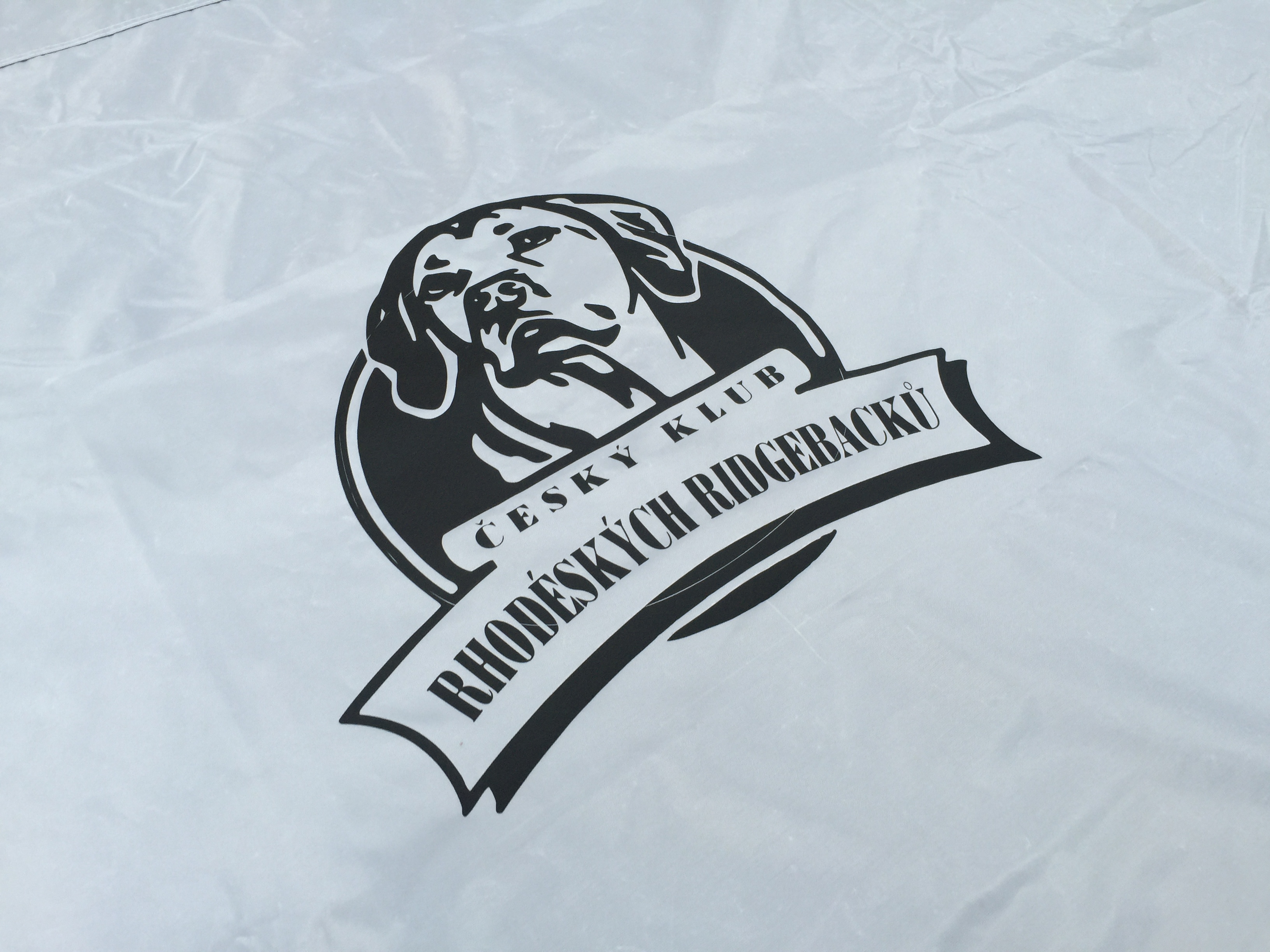 Party-stany.info foto 4