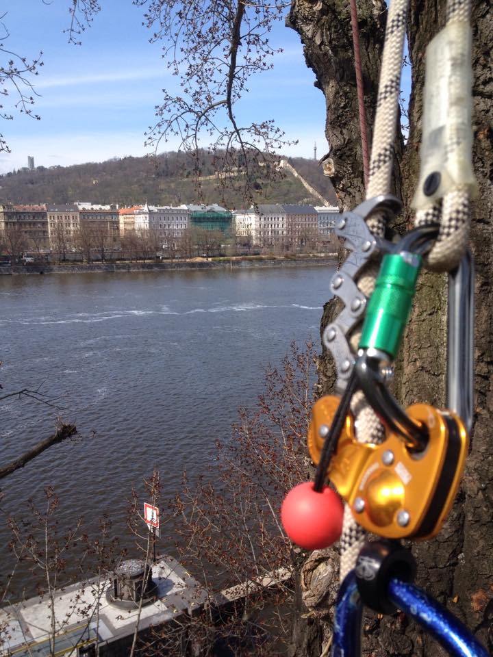 Arboeu s.r.o. foto 5