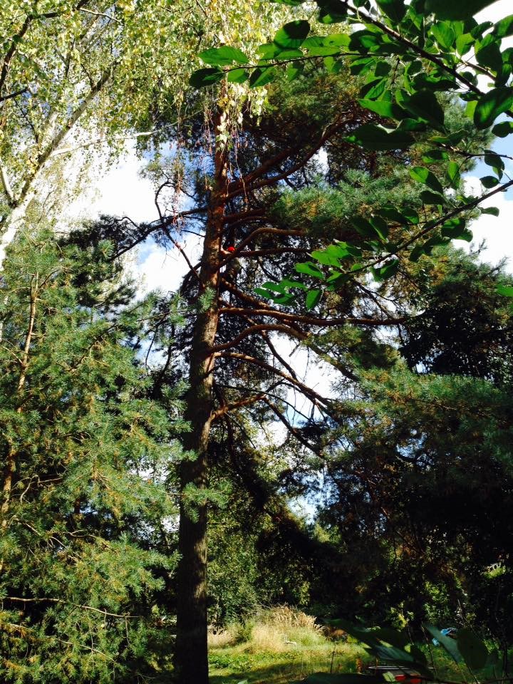 Mário Hamarčák foto 3