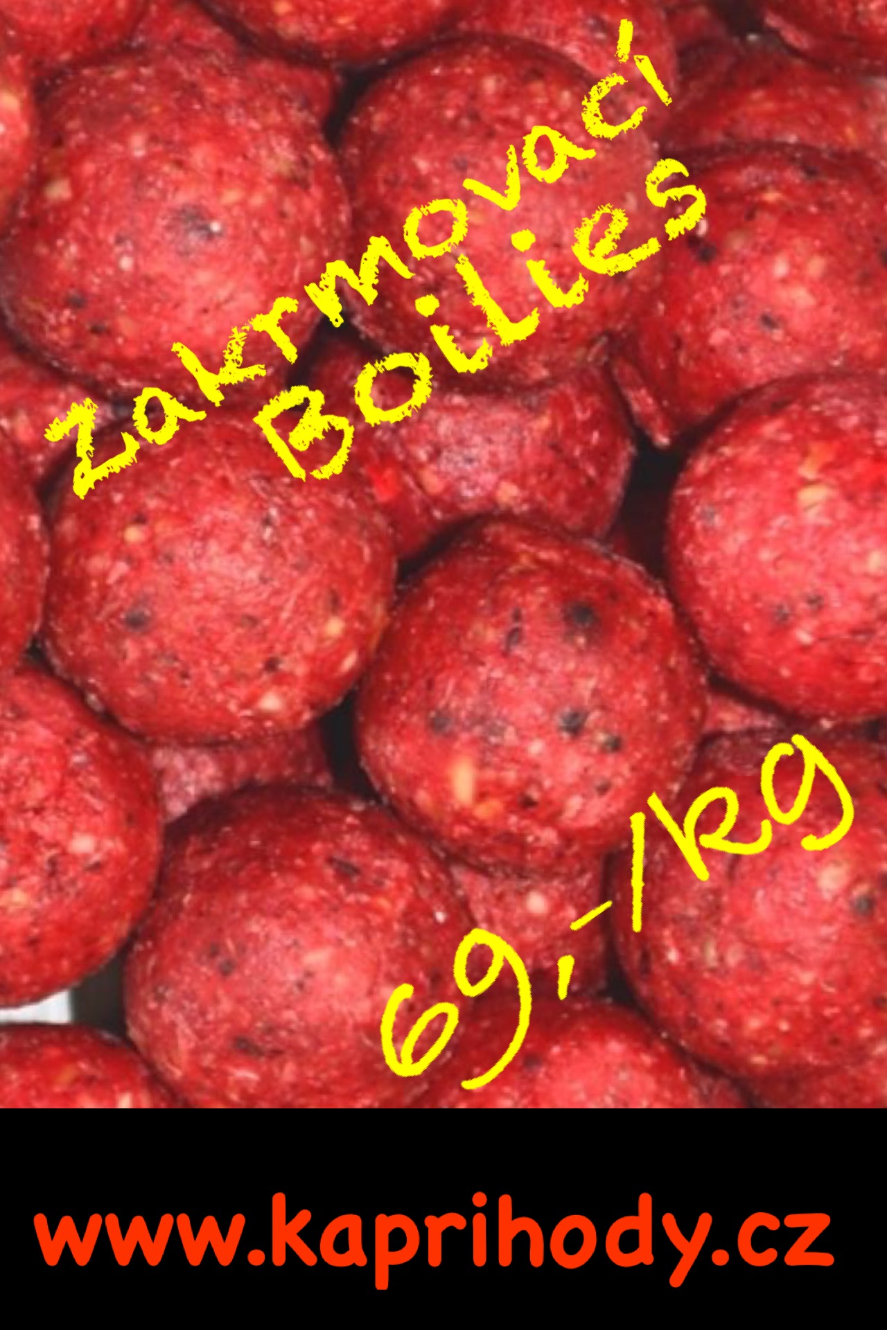 Luděk Plza foto 3